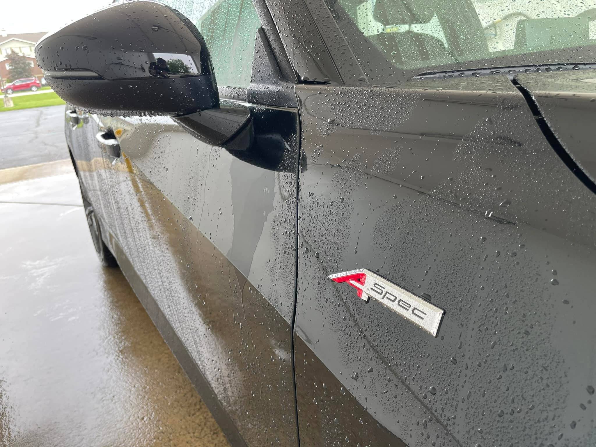 Acura Integra Official MAJESTIC BLACK PEARL Integra Club & Photos 285686397_5722124737817216_4830805907259971159_n