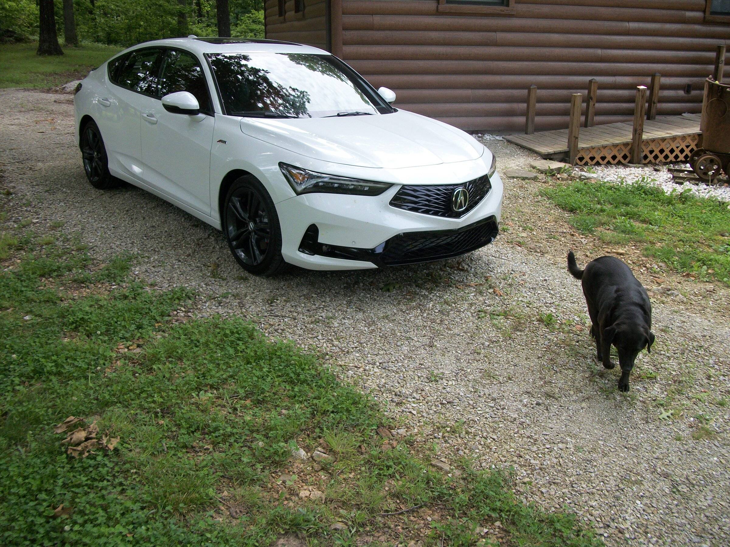 Acura Integra Got my PWP ASpec Tech June 2nd, 100_2570.JPG