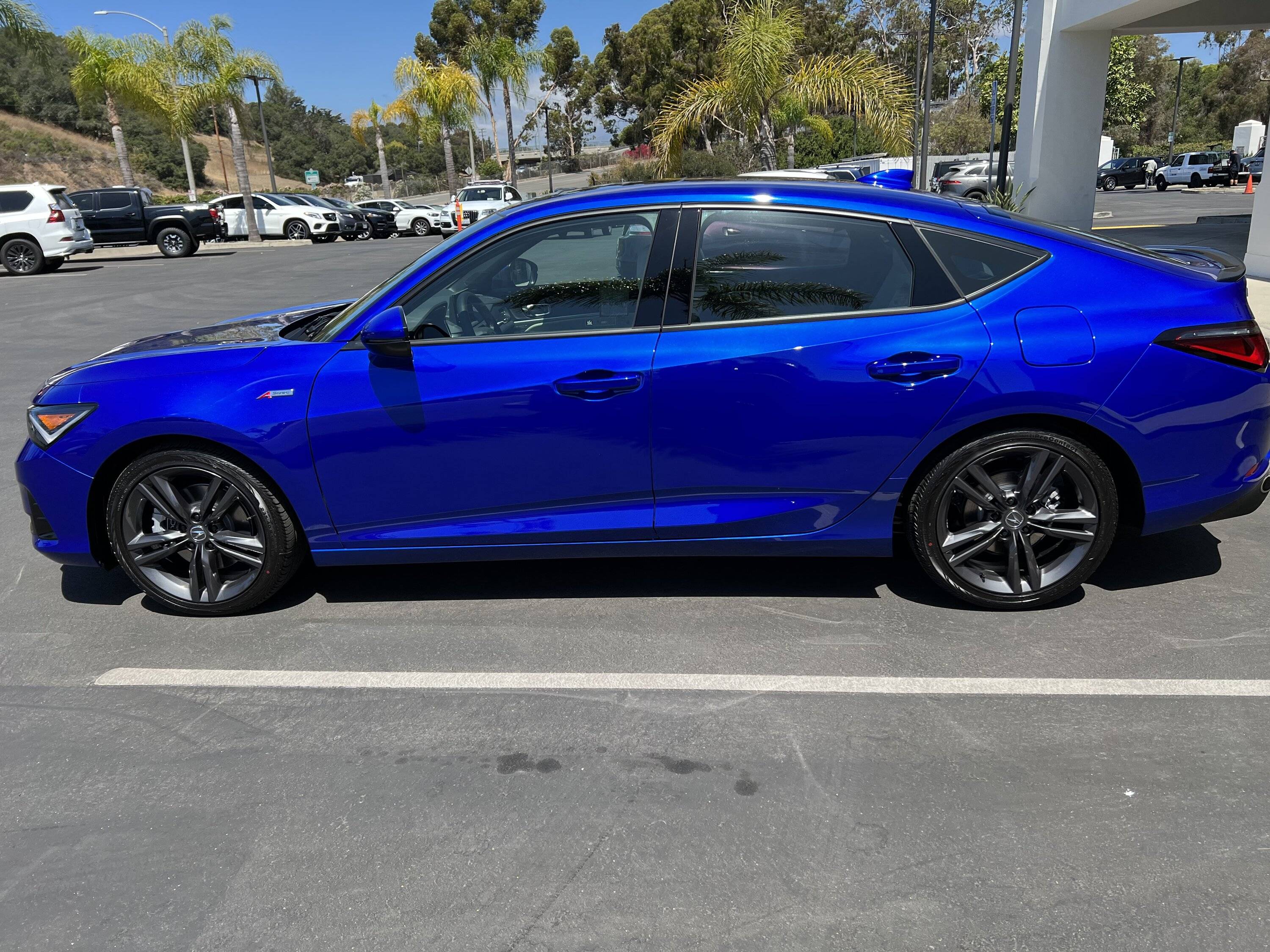 Acura Integra Apex Blue/Orchid Survey 13AE93BD-7AF7-44F9-ACD5-EFE92FEE1B24