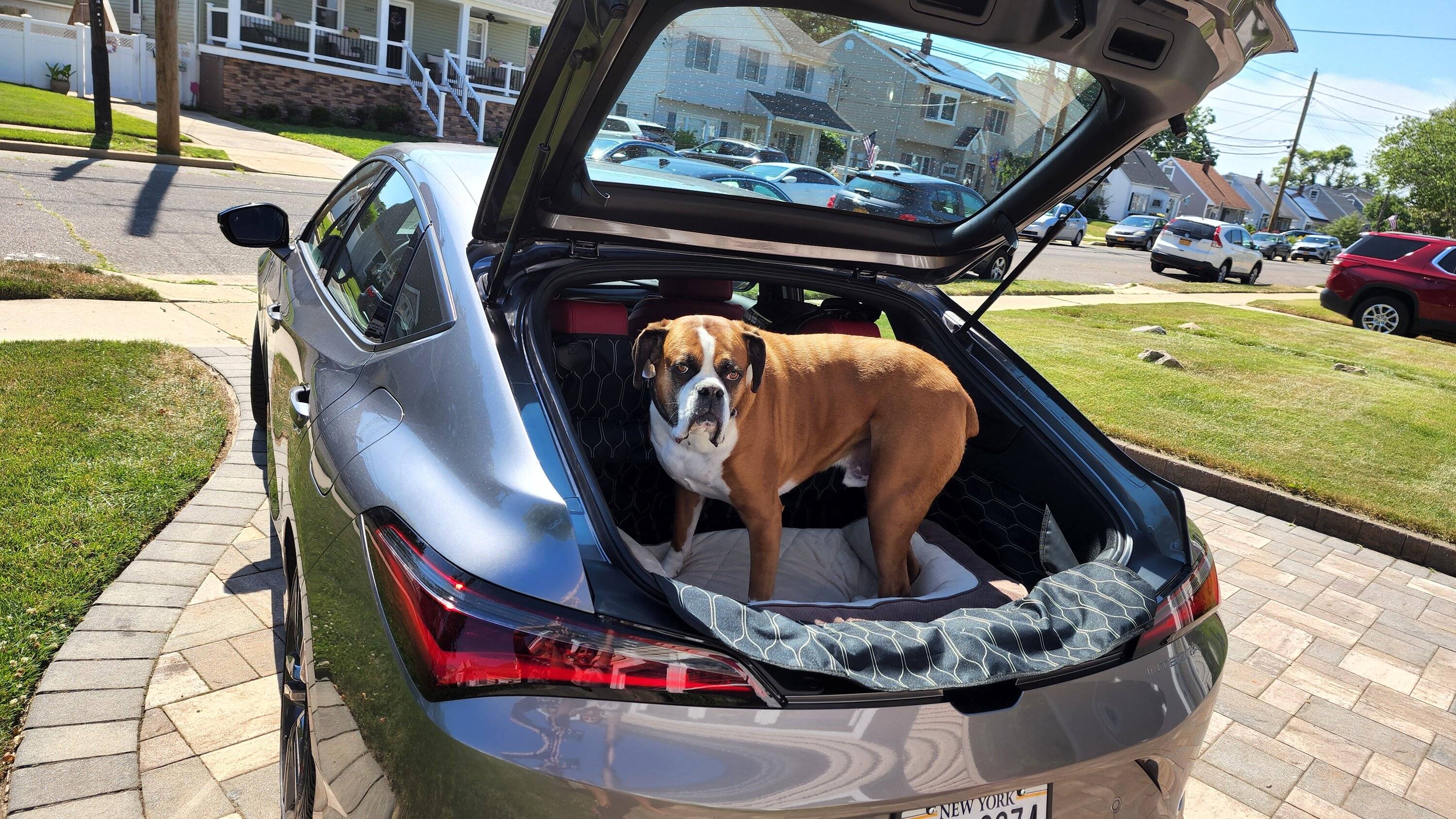 Acura Integra So much hate for this car! Are you disappointed with your purchase? 20220710_102030