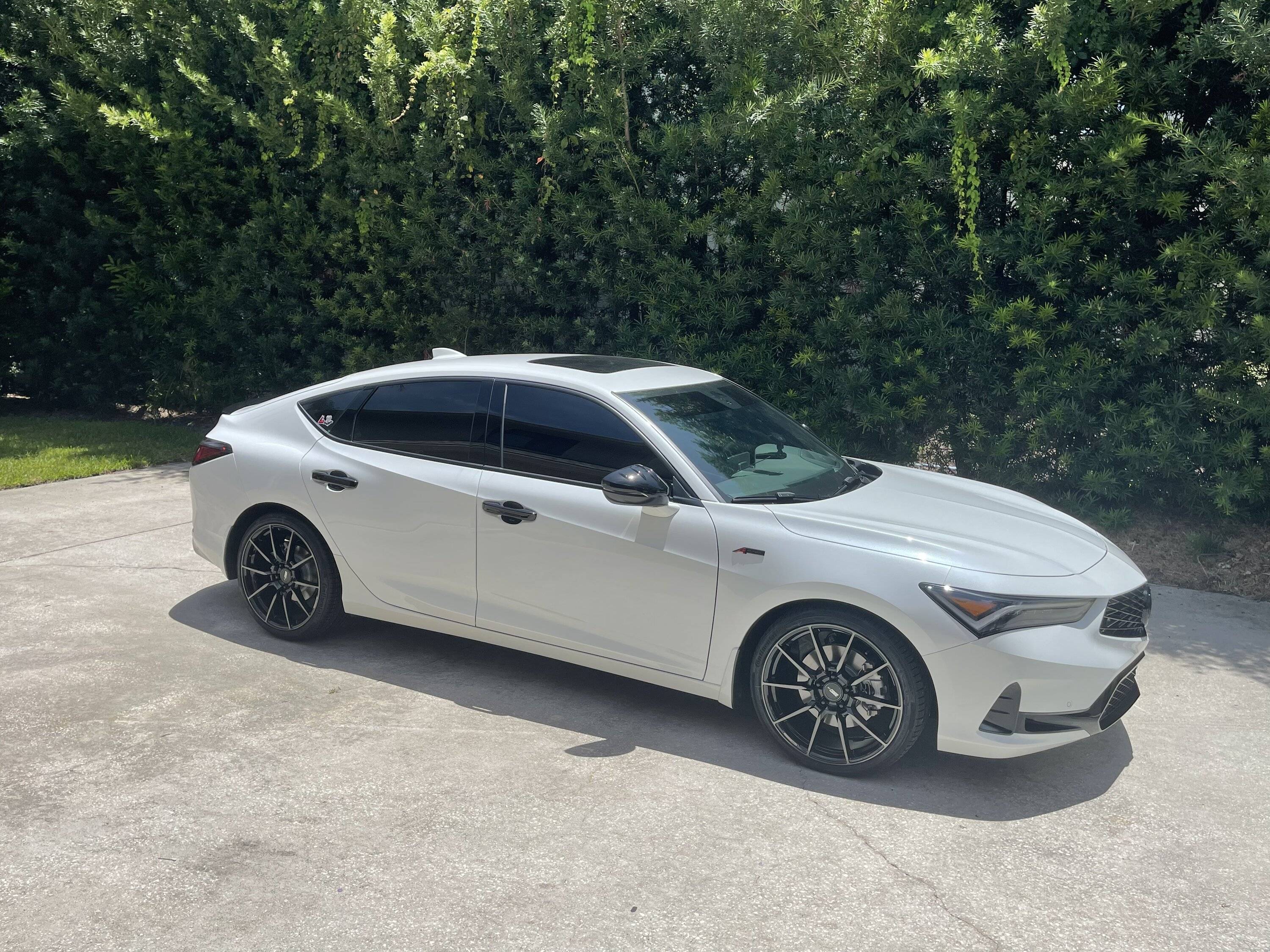 Acura Integra My Build “ Harley Quinn” PWP ASPEC Tech with Red Guts❤️ F95261E1-6A4C-4FE1-B22B-62C5AA5CABBC