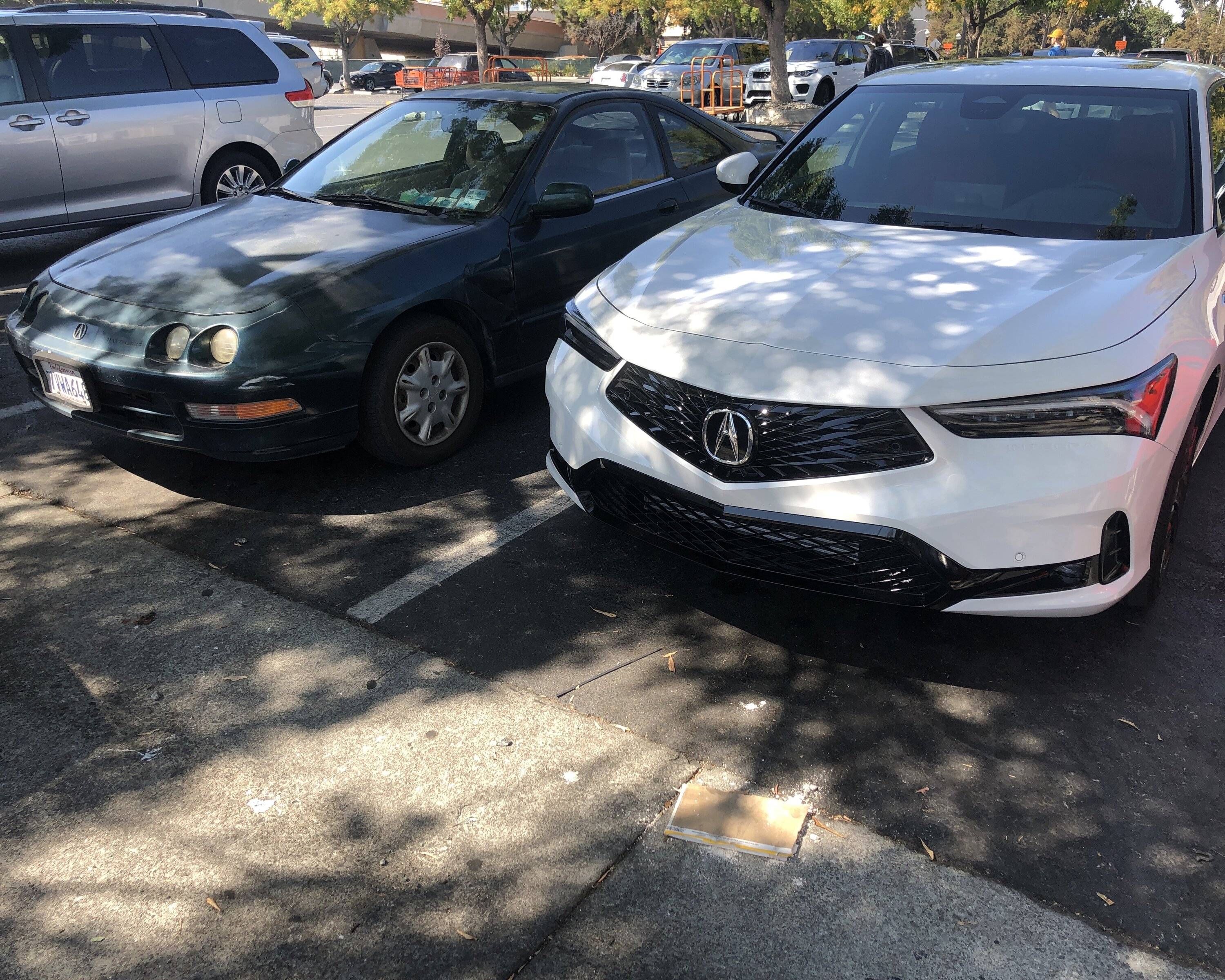 Acura Integra Found a Friend IMG_1053