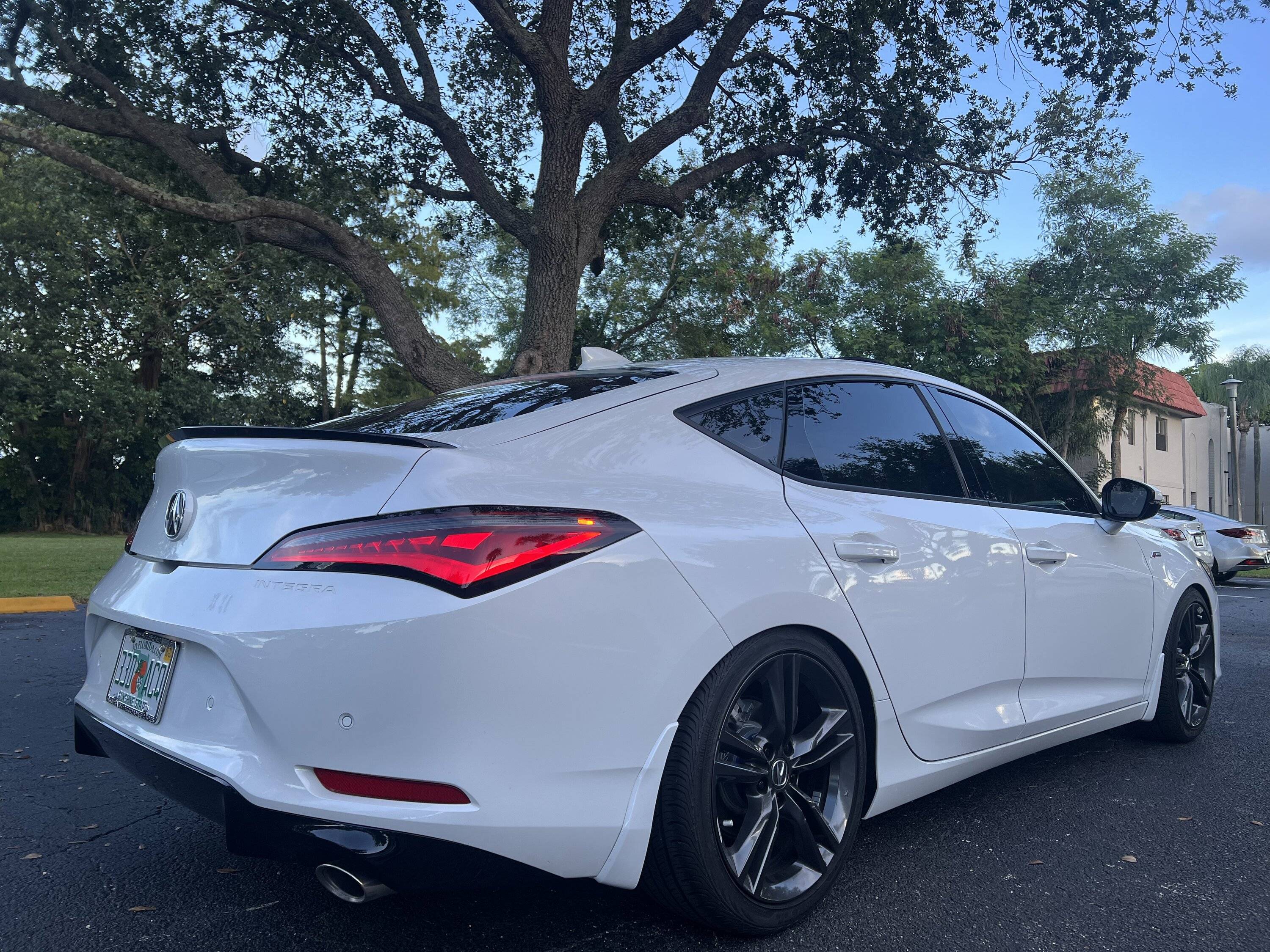 Acura Integra 2023 Platinum White Integra Lowered on Springs AECAFCD4-91DD-4210-A745-E0F5B44173A4