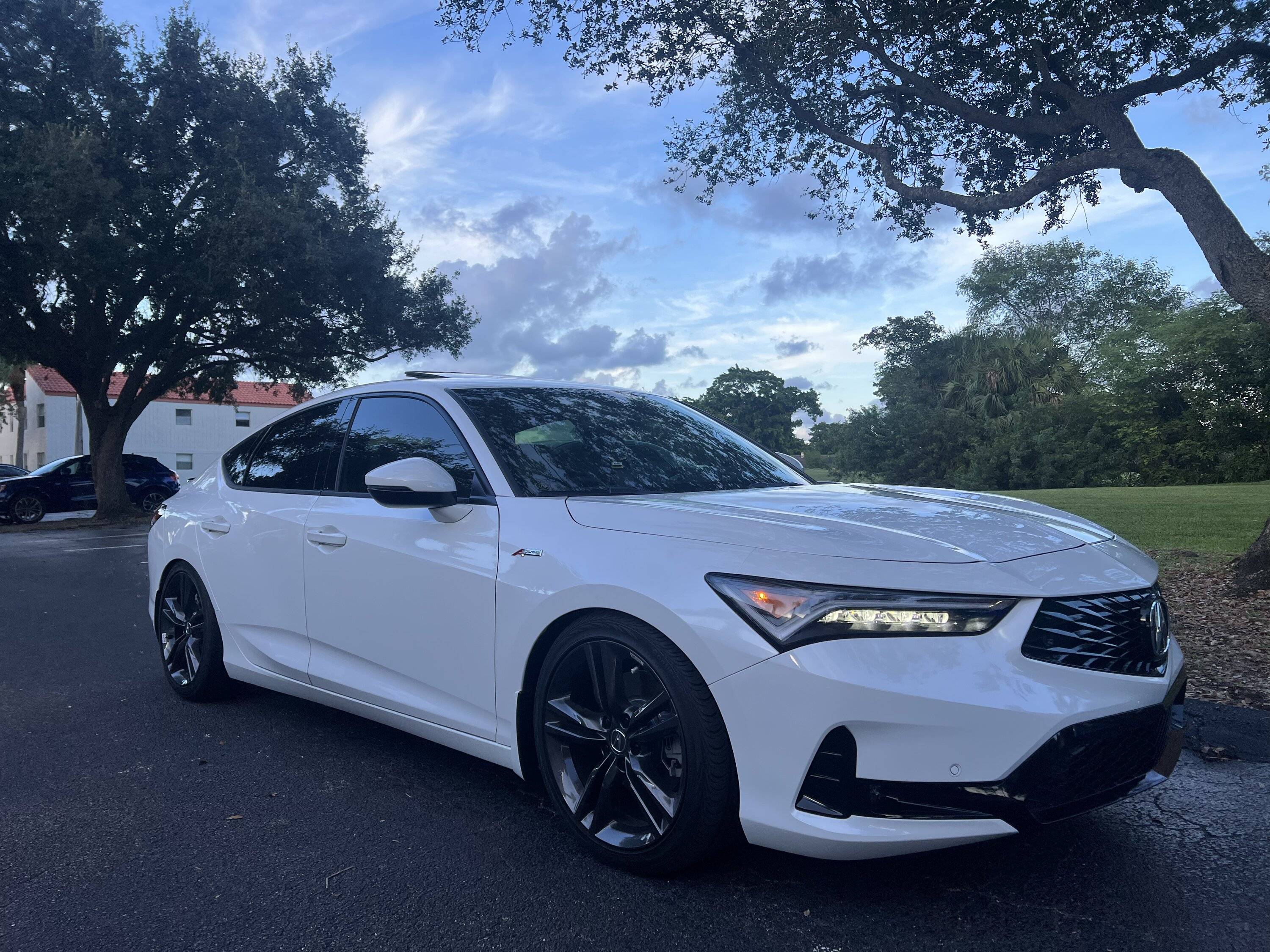 Acura Integra 2023 Platinum White Integra Lowered on Springs 5246AC61-E8D3-4D34-8C10-3E8C32962A8E
