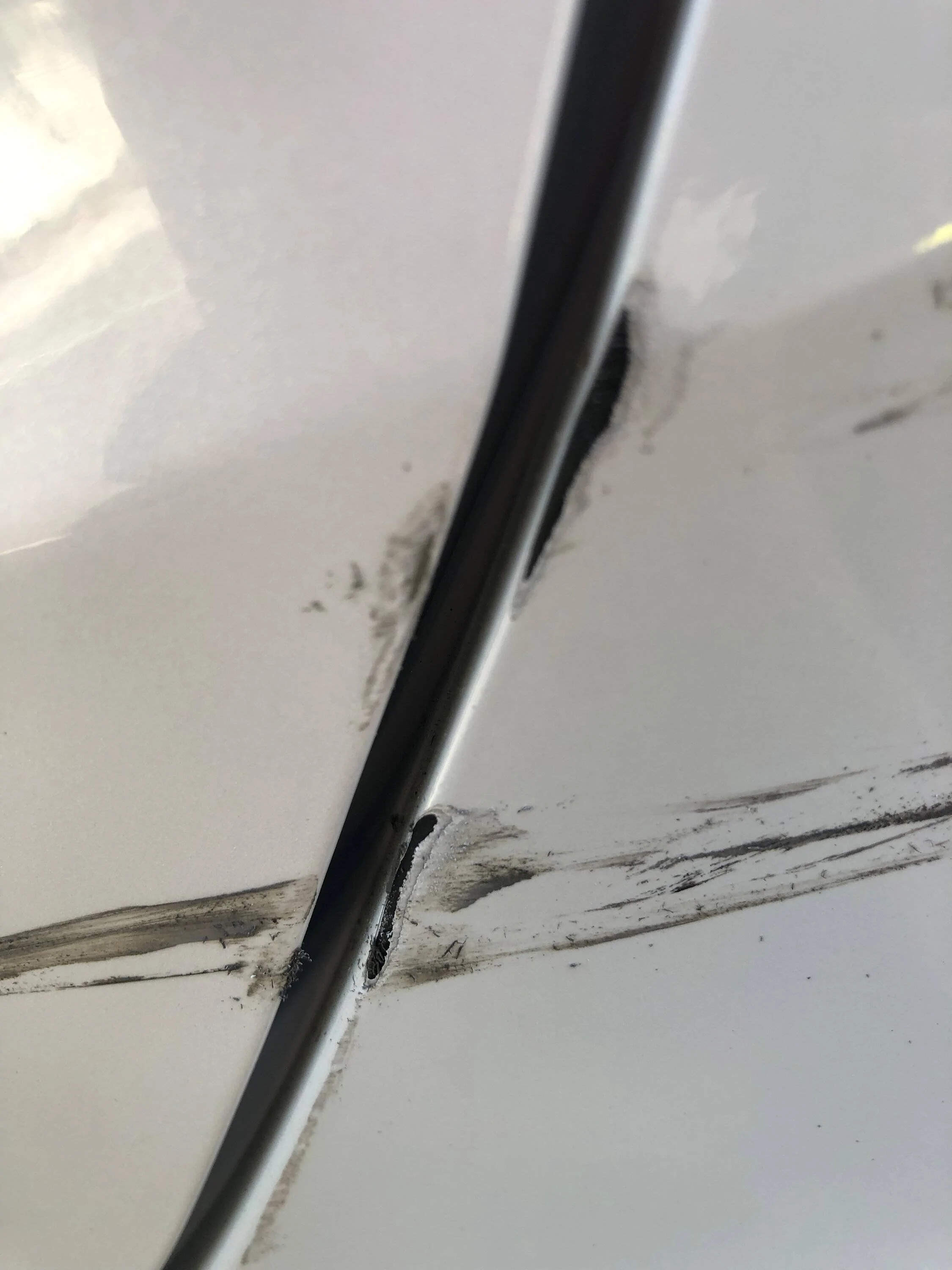 Acura Integra Came home to see something unfortunate IMG_1462