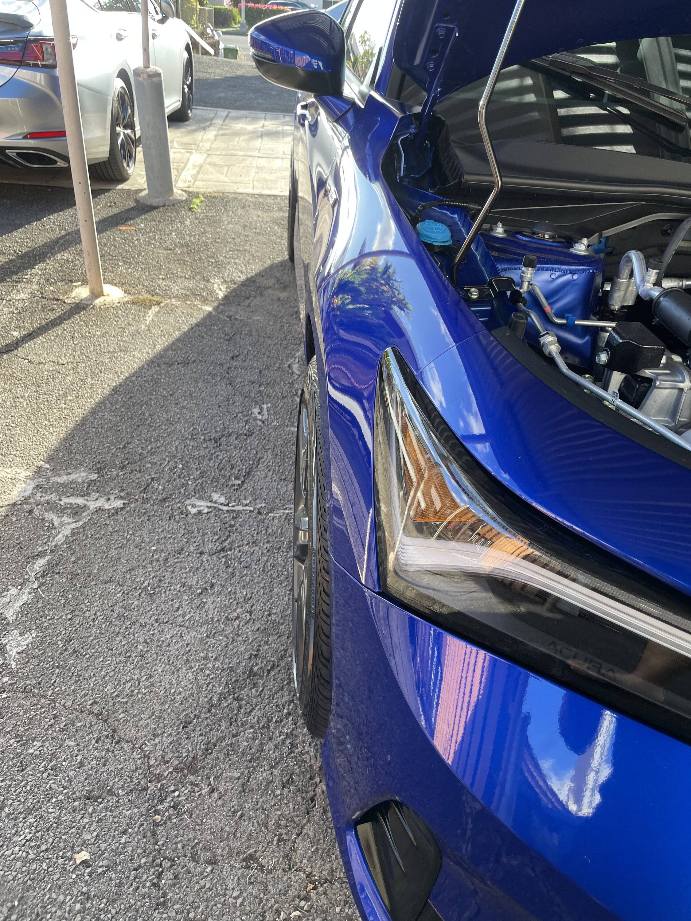 Acura Integra 2023 Integra w/ Eibach springs, SPC camber arms, wheel spacers (and alignment specs) 328BA251-CD4F-4701-918B-C1325AF754AB