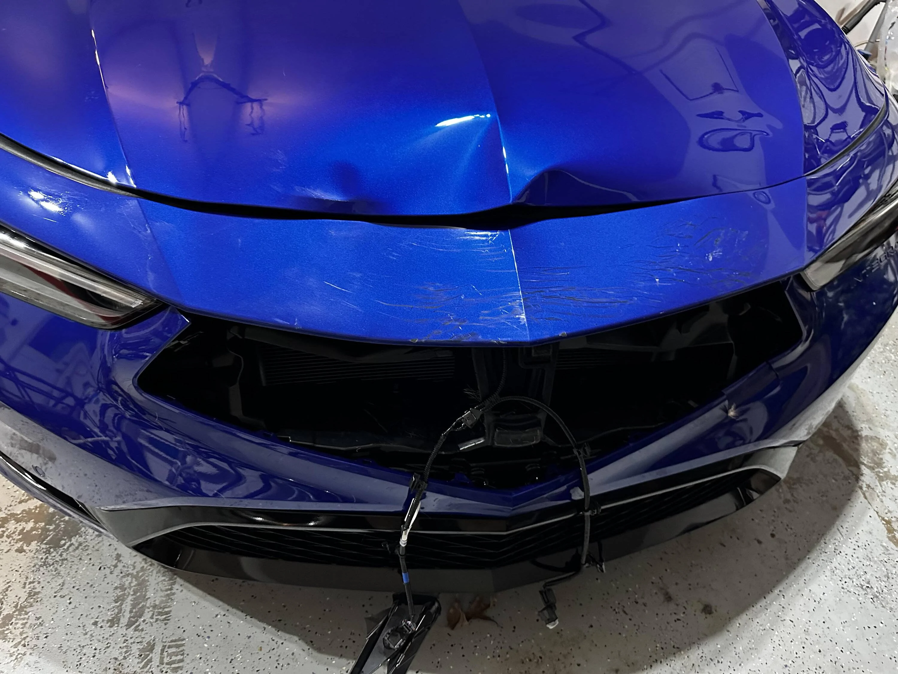 Acura Integra Hit a Deer :( 1