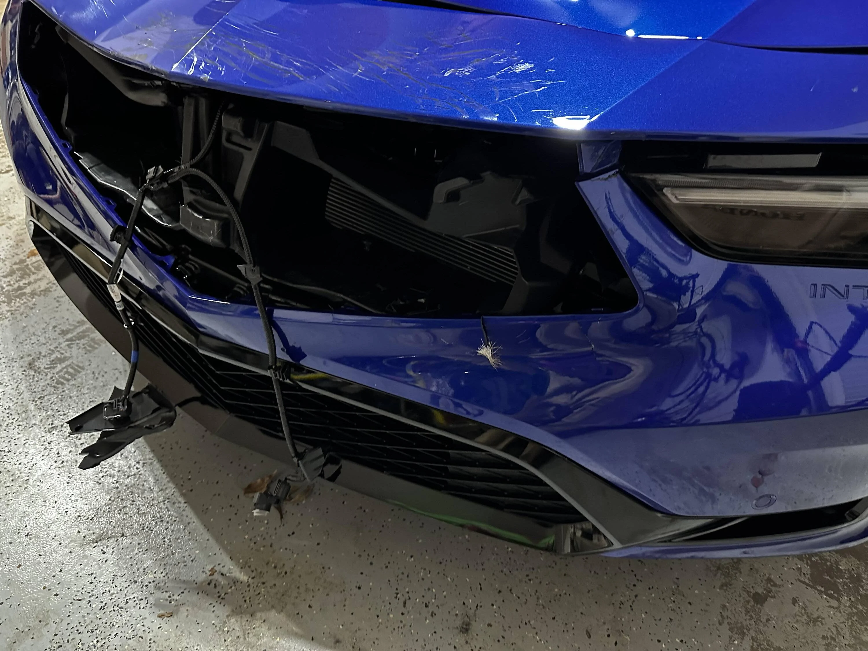 Acura Integra Hit a Deer :( 2