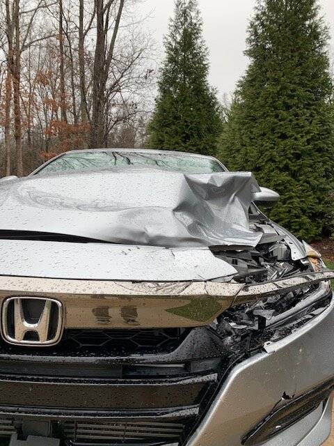 Acura Integra Hit a Deer :( accord damage