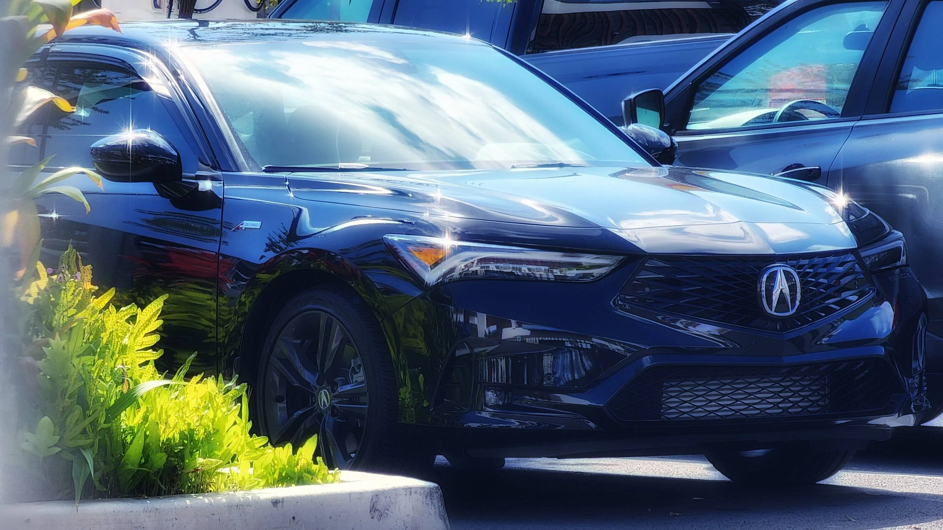 Acura Integra Official MAJESTIC BLACK PEARL Integra Club & Photos 20230122_140844-01