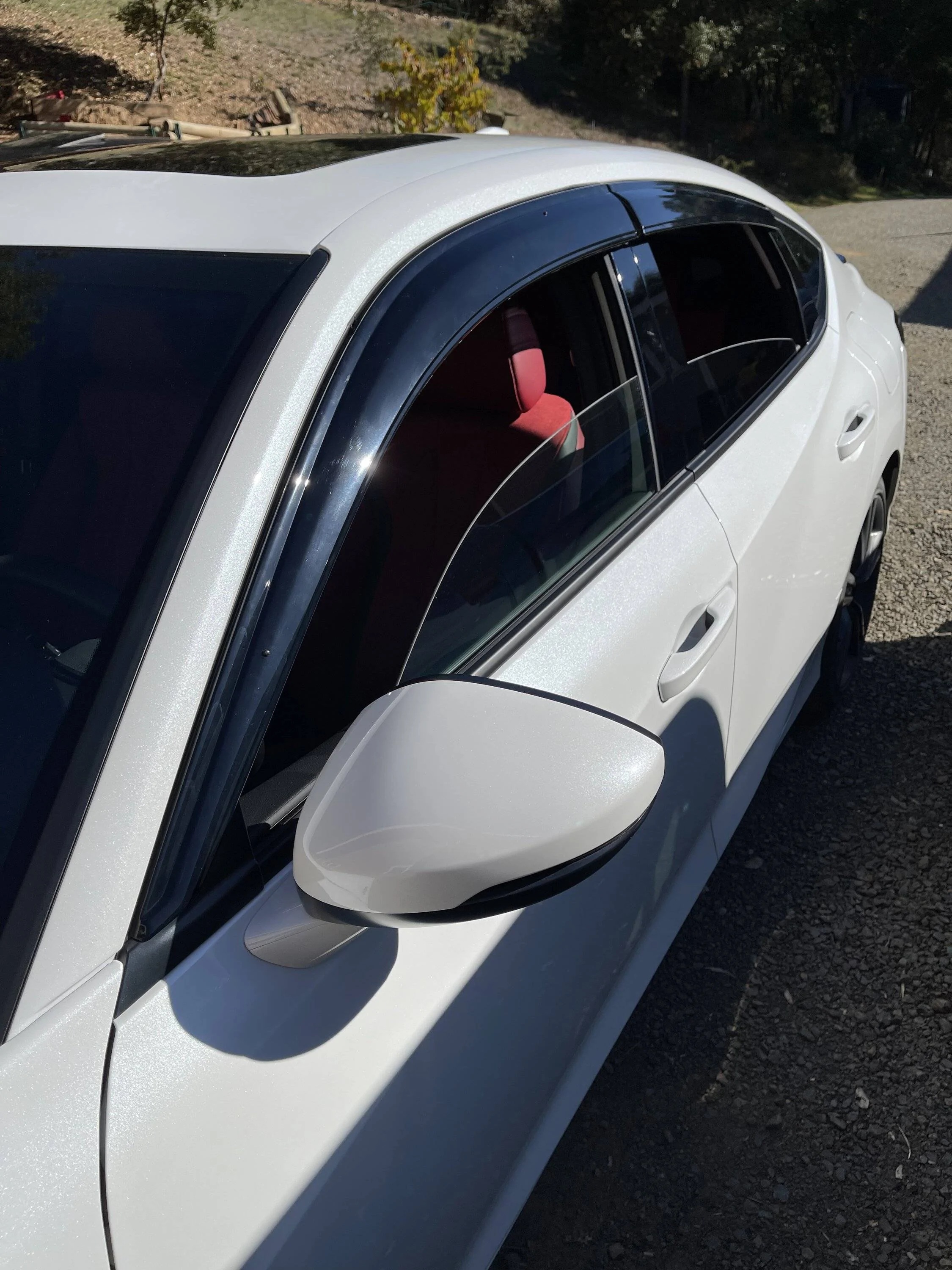Acura Integra Side Mirror Caps Replacement? CABA76C3-5B2A-4781-8CBB-46139F70F638