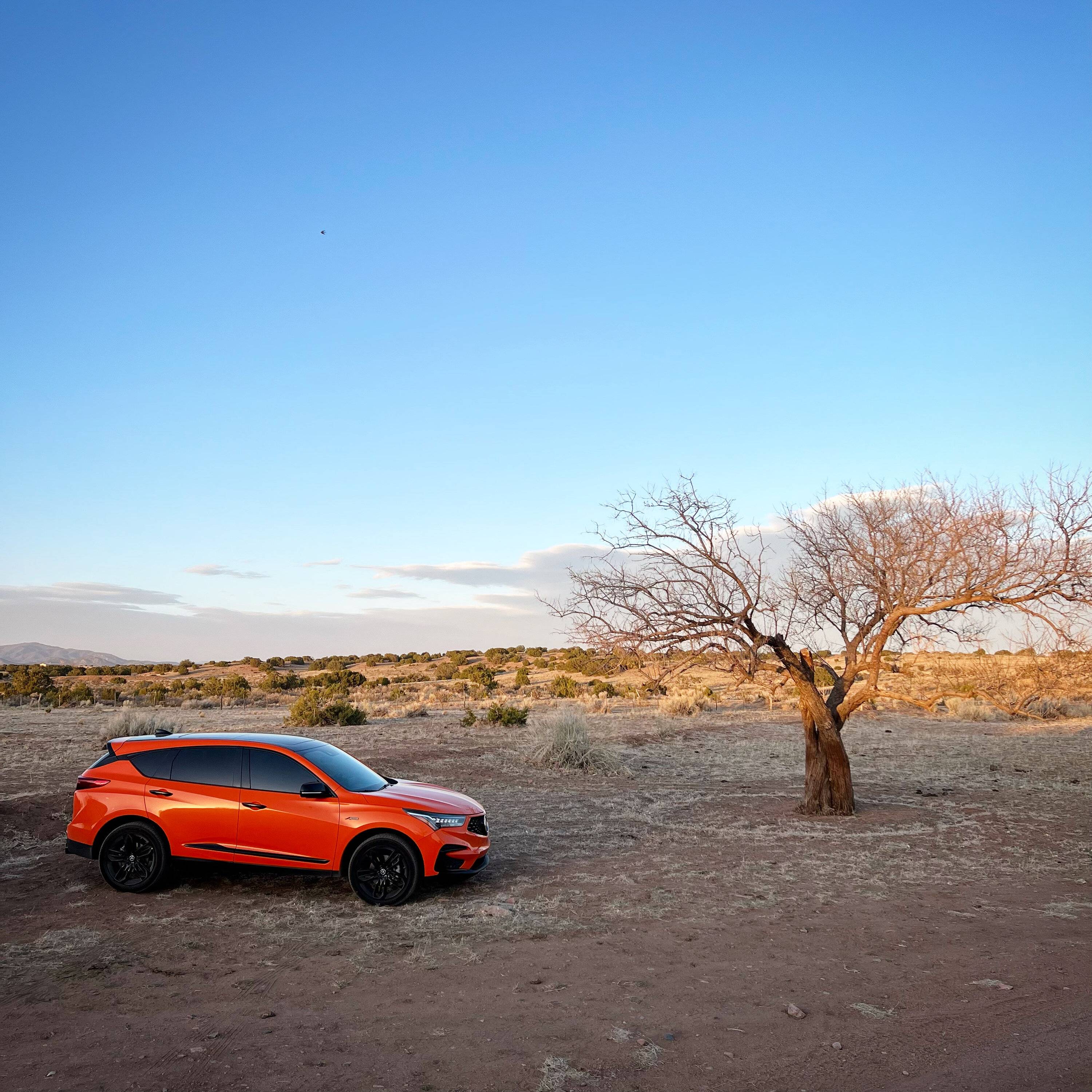 Acura Integra Introducing the 2024 Acura Integra Type S! On Sale in June easter rdx 1