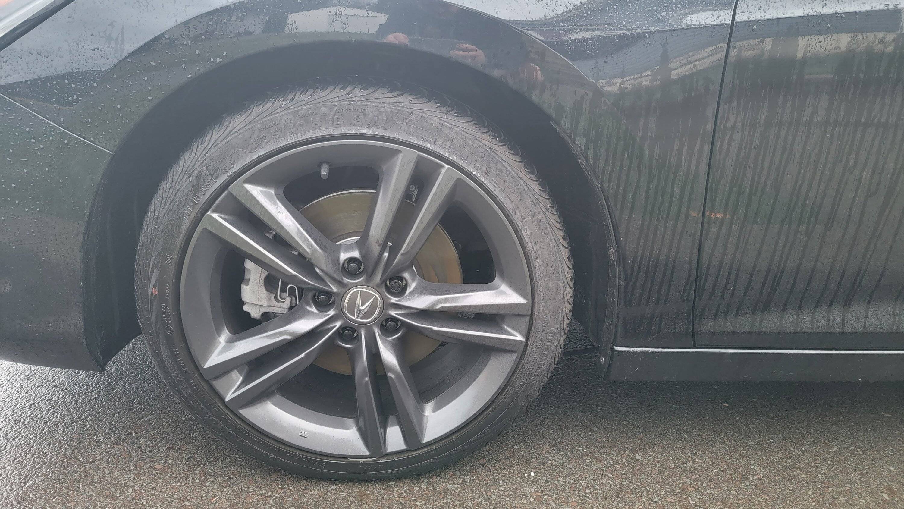 Acura Integra Eibach Pro Spring Rates for 2023+ Integra 20230401_074824