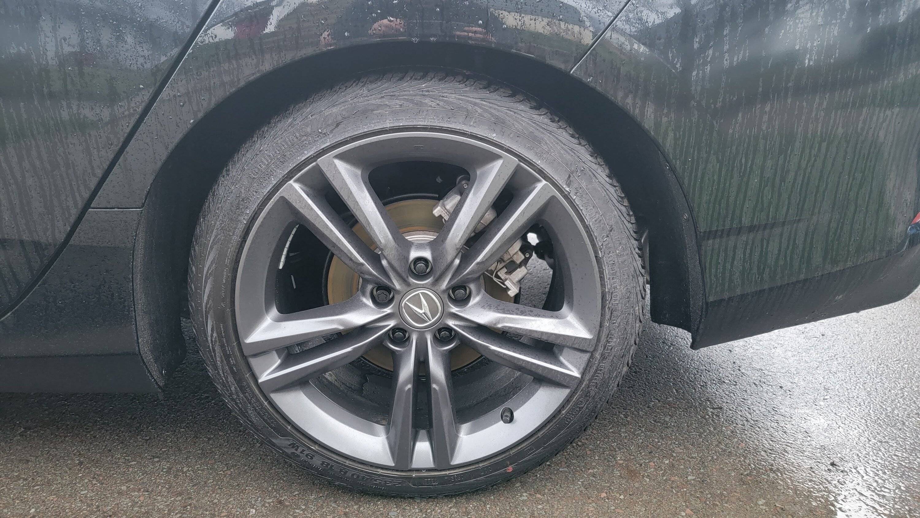 Acura Integra Eibach Pro Spring Rates for 2023+ Integra 20230401_074831