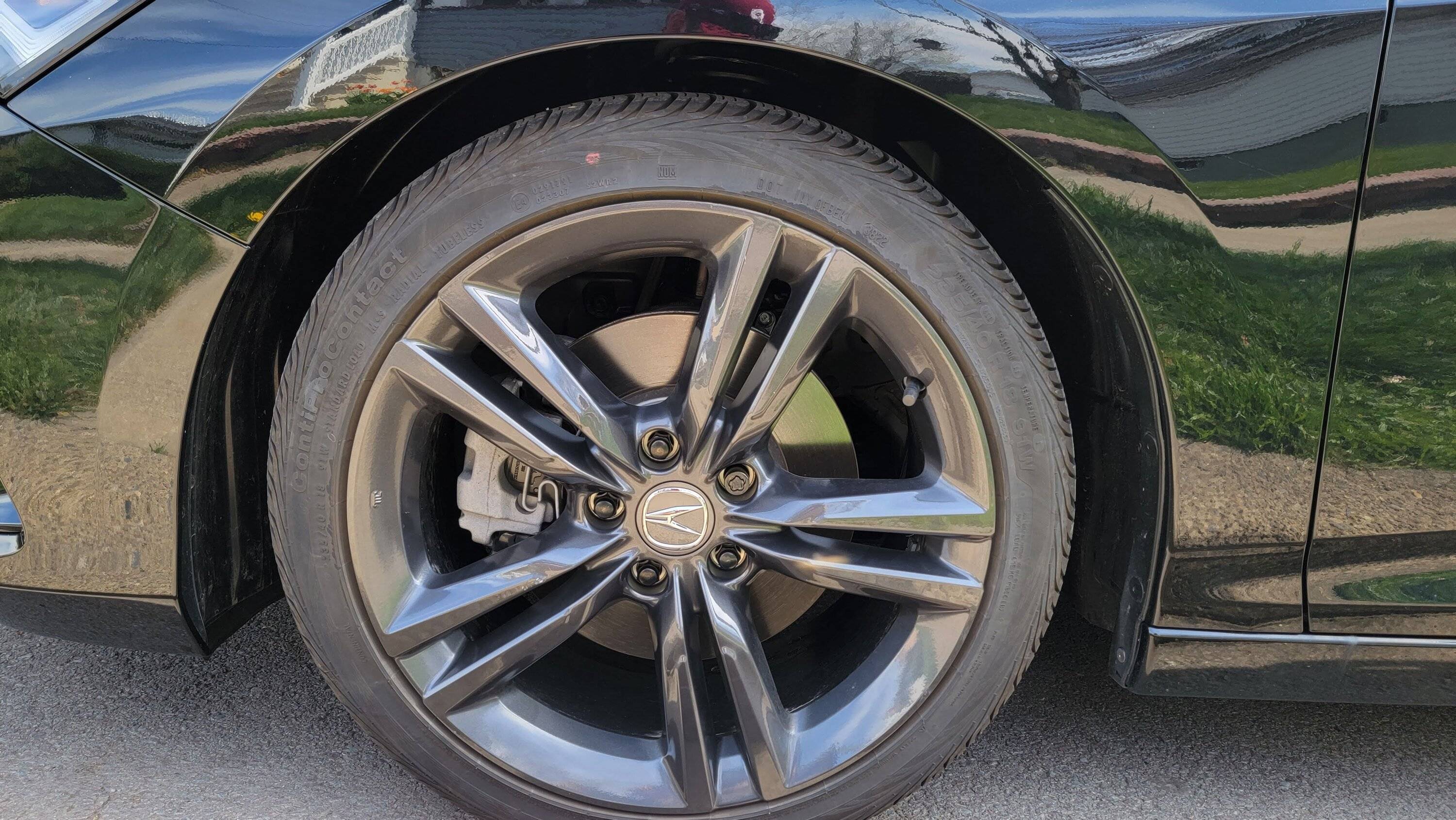 Acura Integra Eibach Pro Spring Rates for 2023+ Integra 20230414_150305