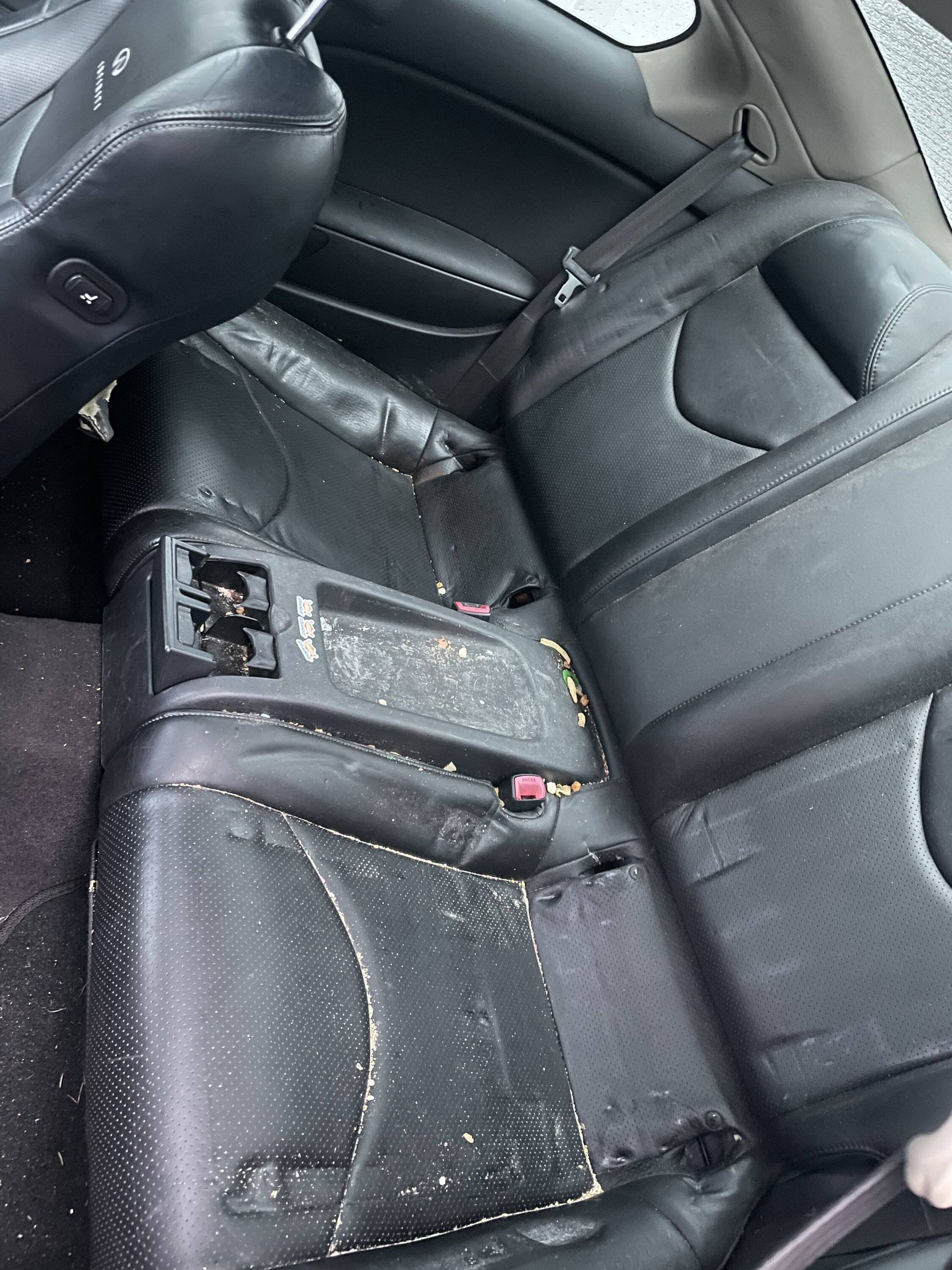 Acura Integra Apex Blue / Orchid  - 6MT BDB4F099-8A61-4F7E-885C-E33034616392