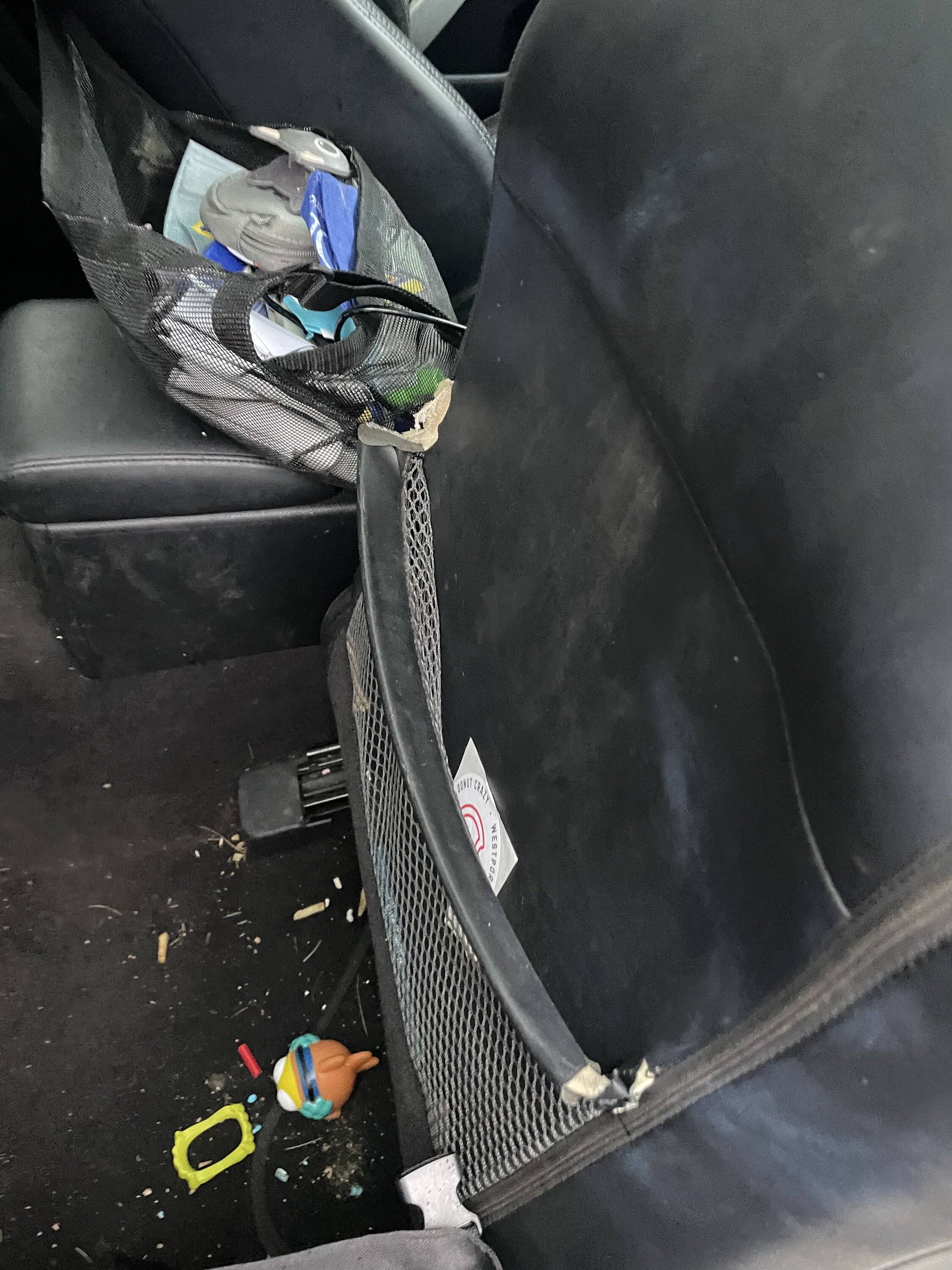 Acura Integra Apex Blue / Orchid  - 6MT 735AC146-BC2A-4214-8D0A-502A8F073228