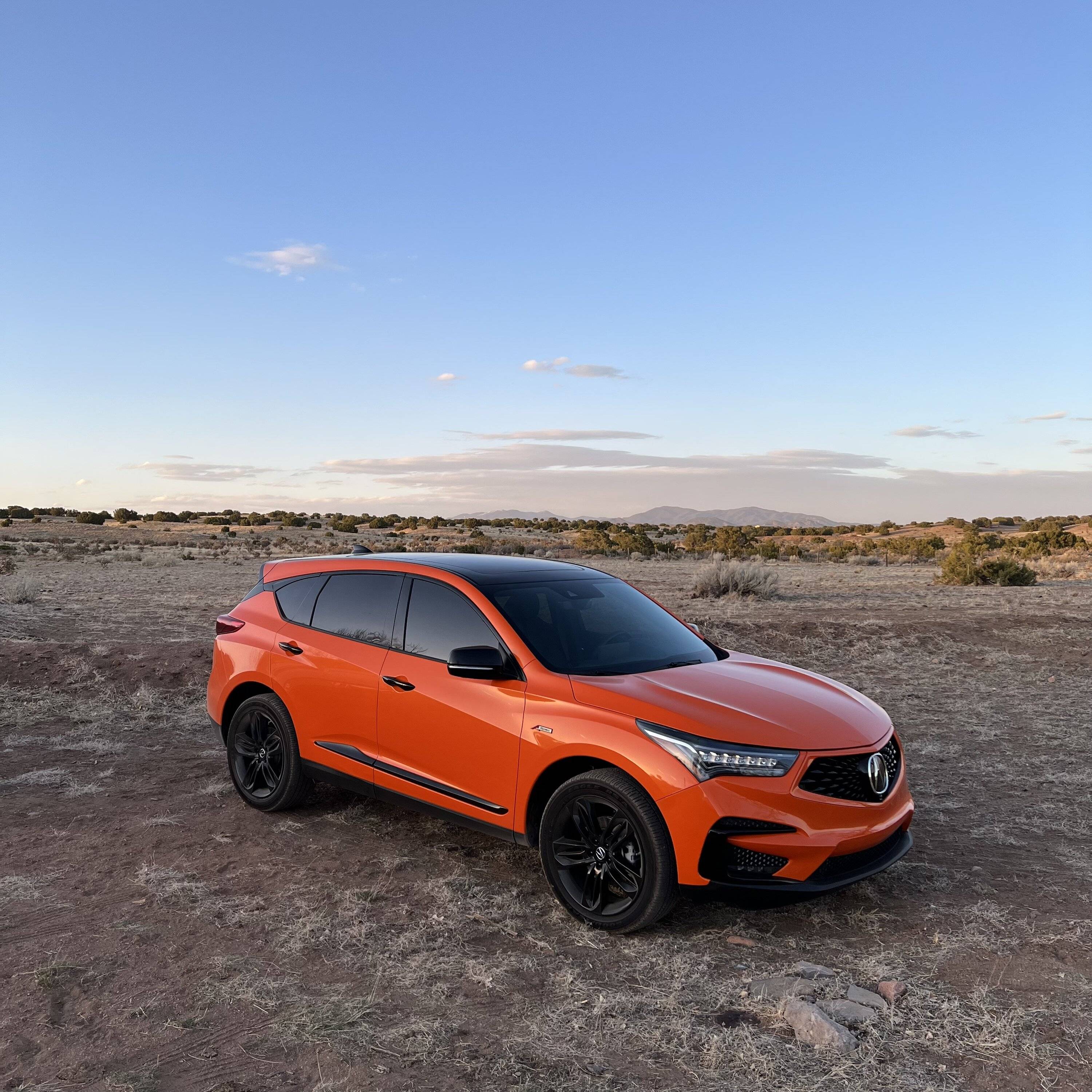 Acura Integra Has it been confirmed anywhere that the Type S will or will not be built at the PMC? easter rdx 2