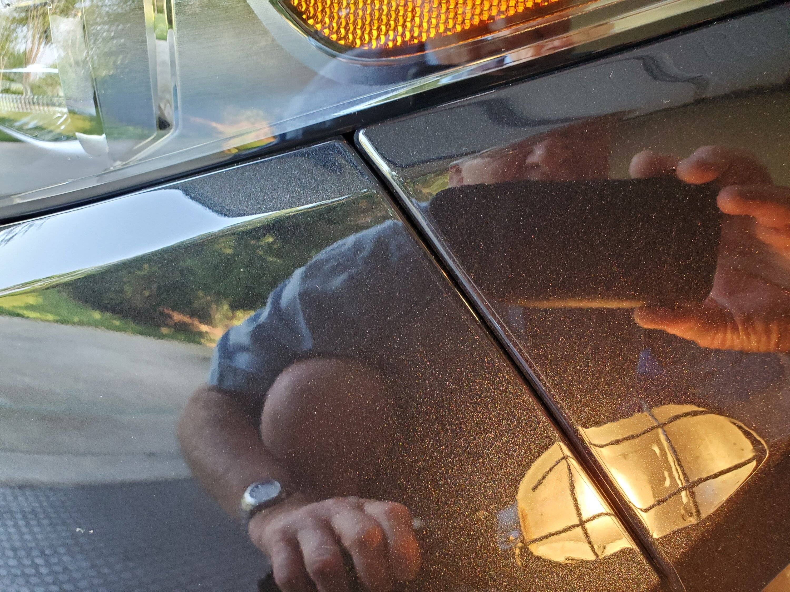 Acura Integra Paint, fit and finish.....an issue? 20230629_091313