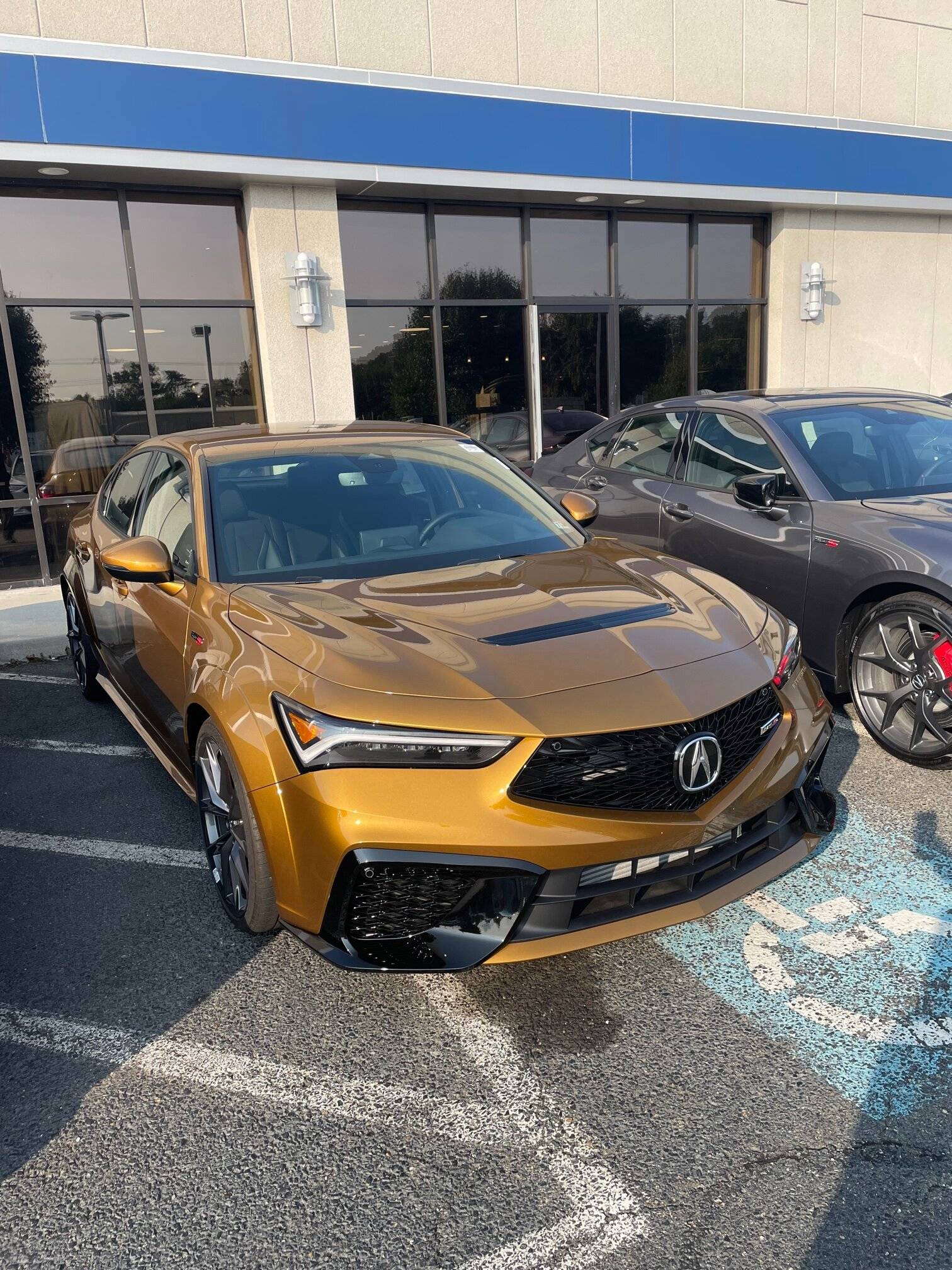 Acura Integra Official TIGER EYE PEARL Integra Club & Photos TigereyeITS1