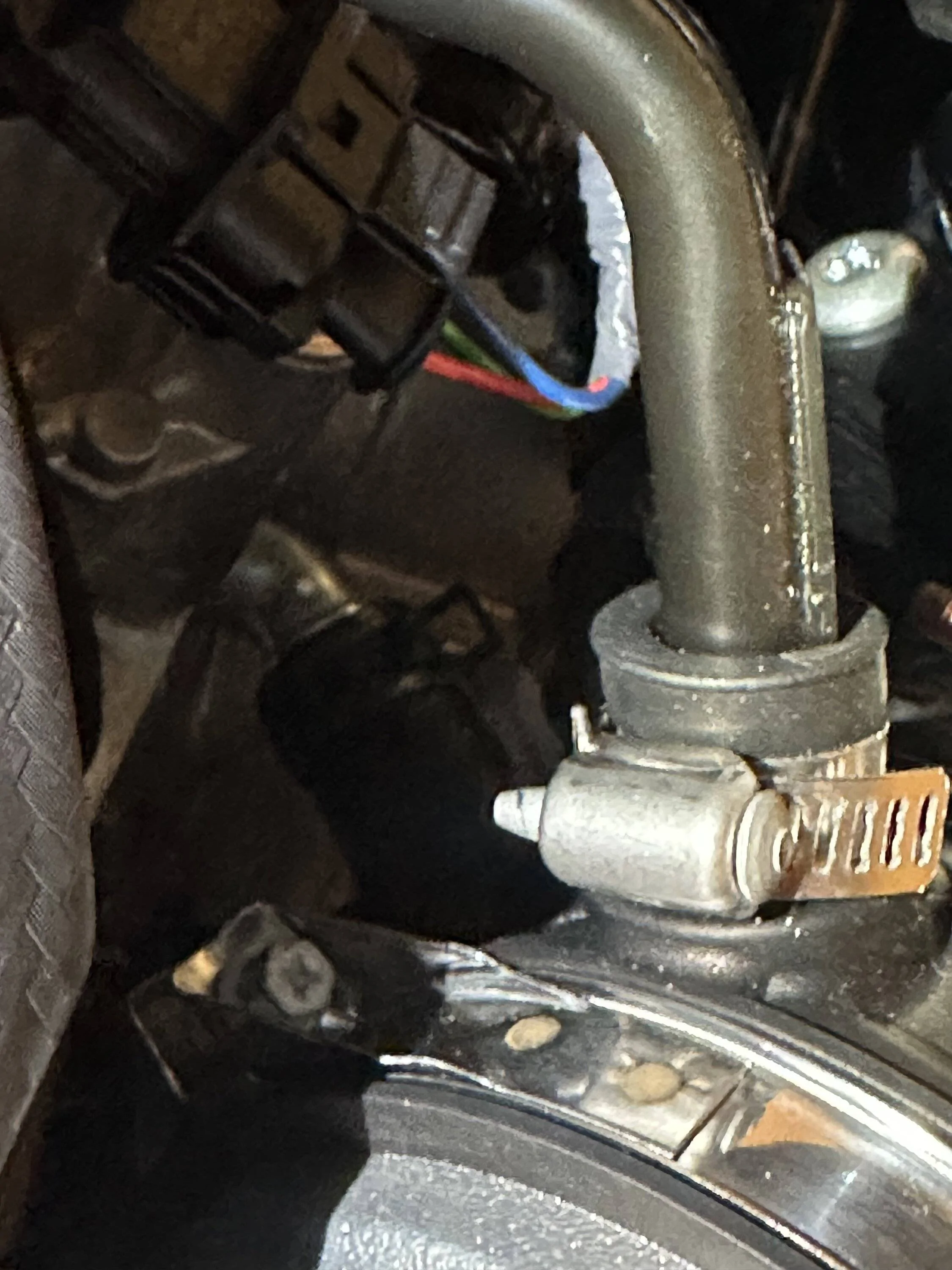 Acura Integra First mods on your Integra Type S will be? IMG_3956