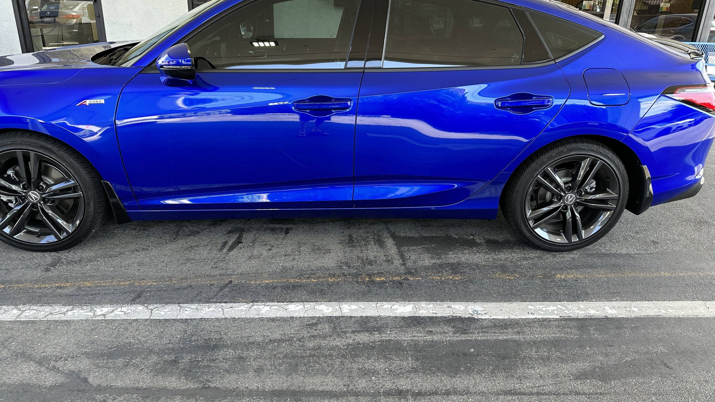 Acura Integra Color matched mud guards IMG_3662