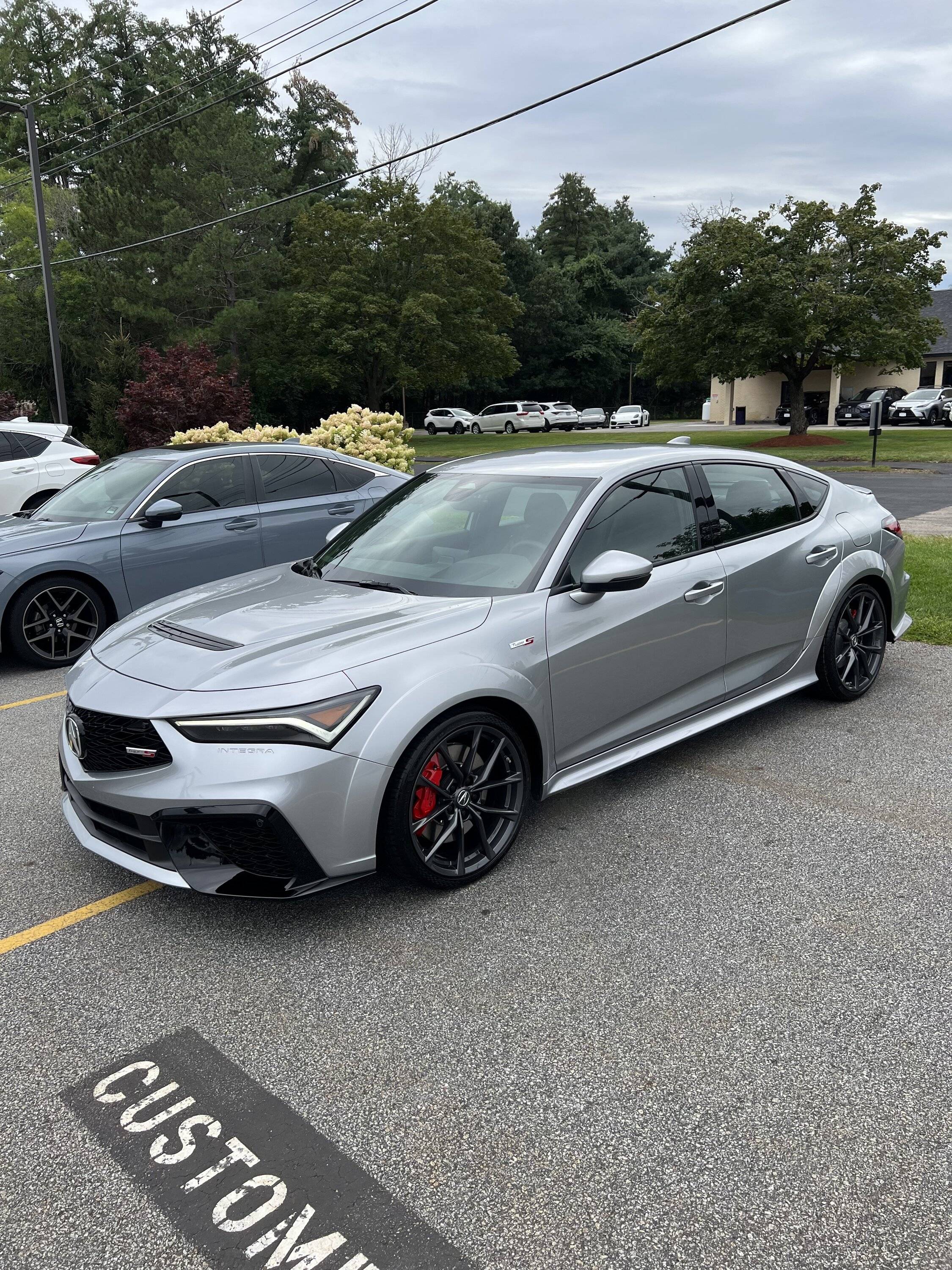 Acura Integra Lunar Silver Metallic IMG_3986