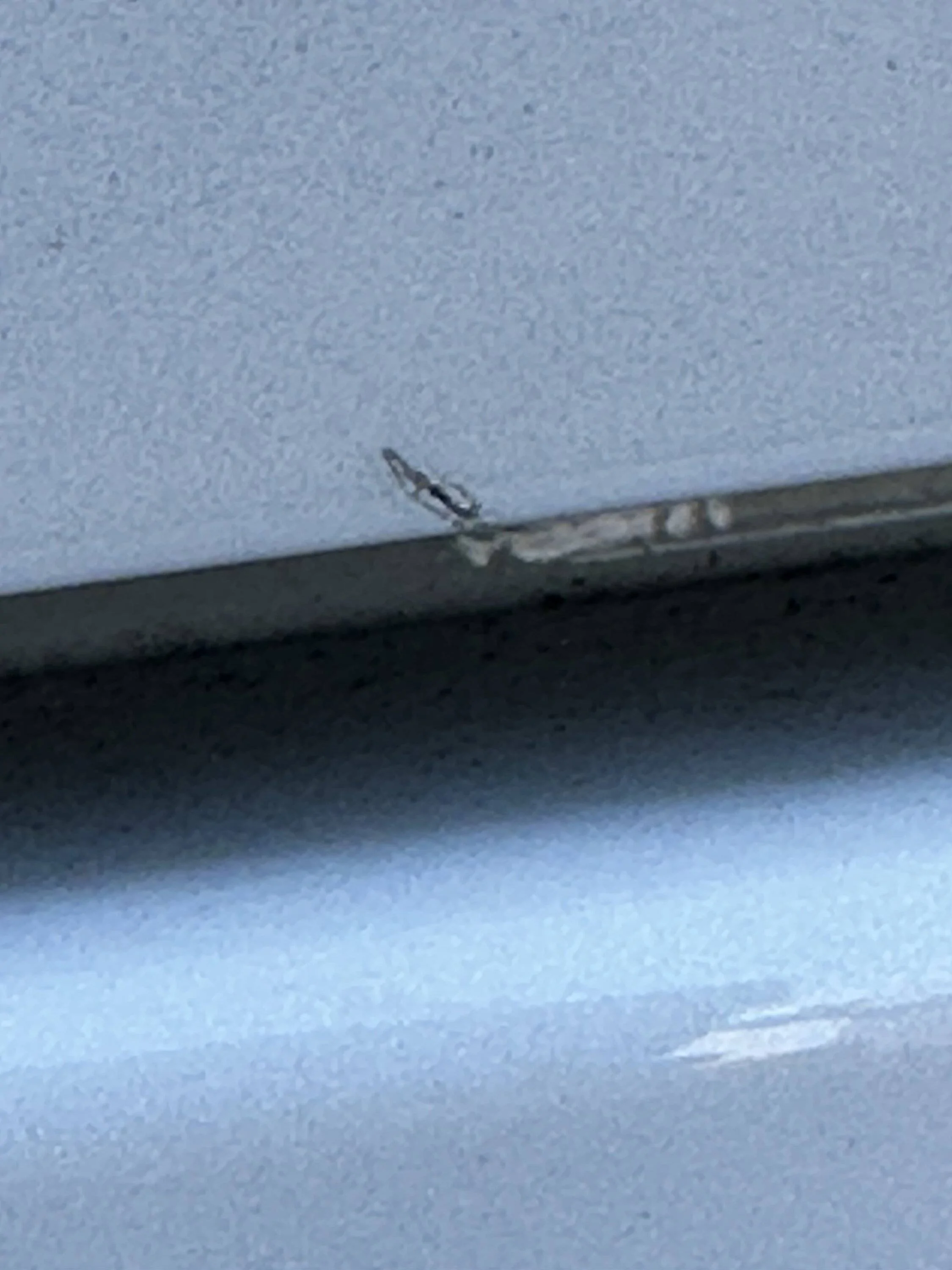 Acura Integra What did you do to your Integra Type S today? 🙋🏻‍♂️ IMG_4850