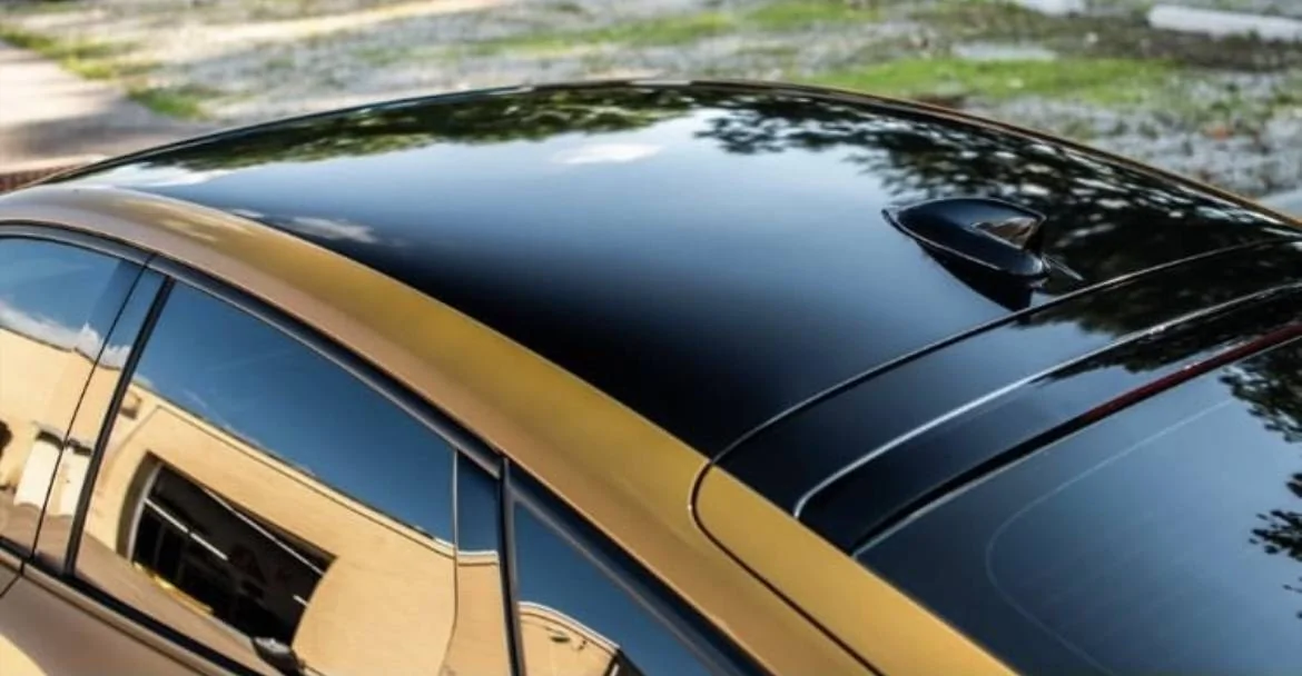 Acura Integra Roof blackout IMG_8251