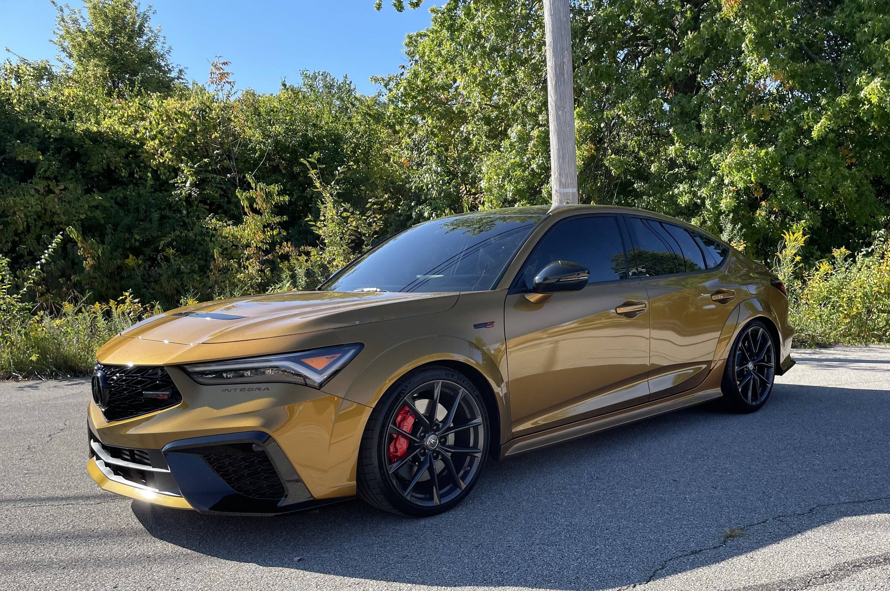 Acura Integra Spoon Springs installed on Type S IMG_8279