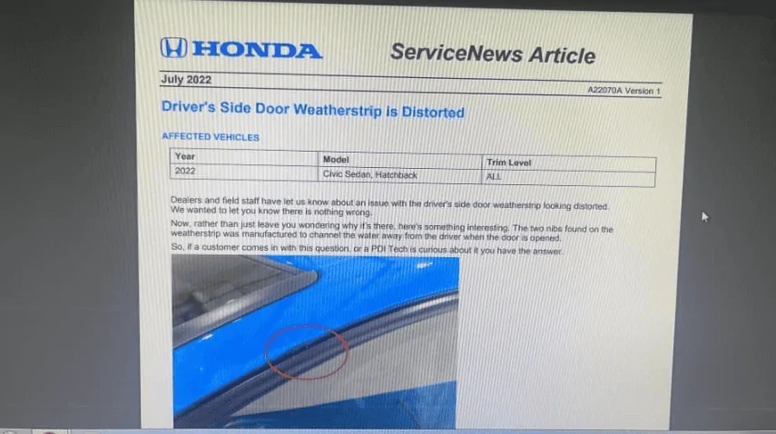 Acura Integra Bumps on weatherstrip? 1696374341775