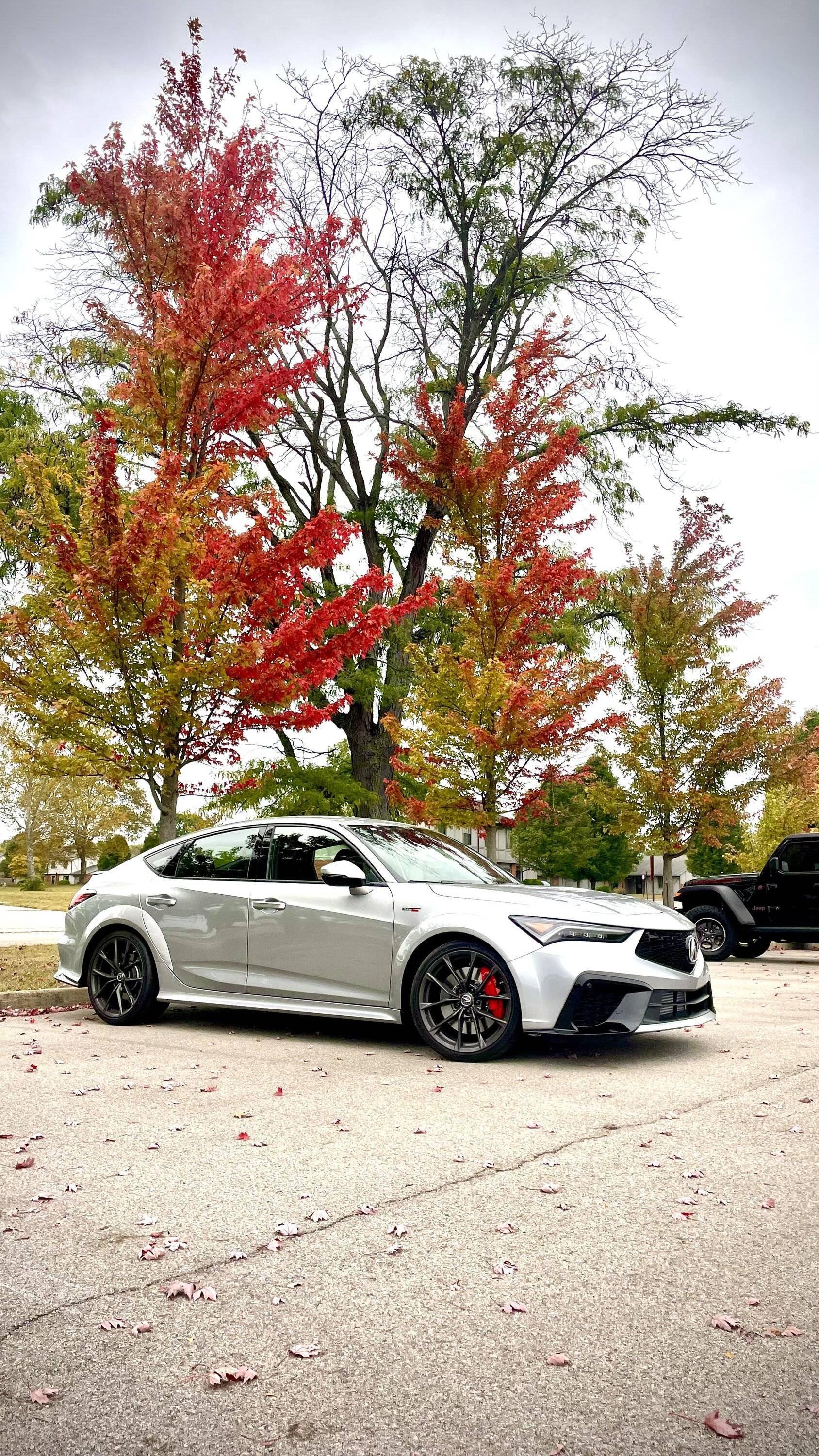 Acura Integra Lunar Silver Metallic IMG_5833