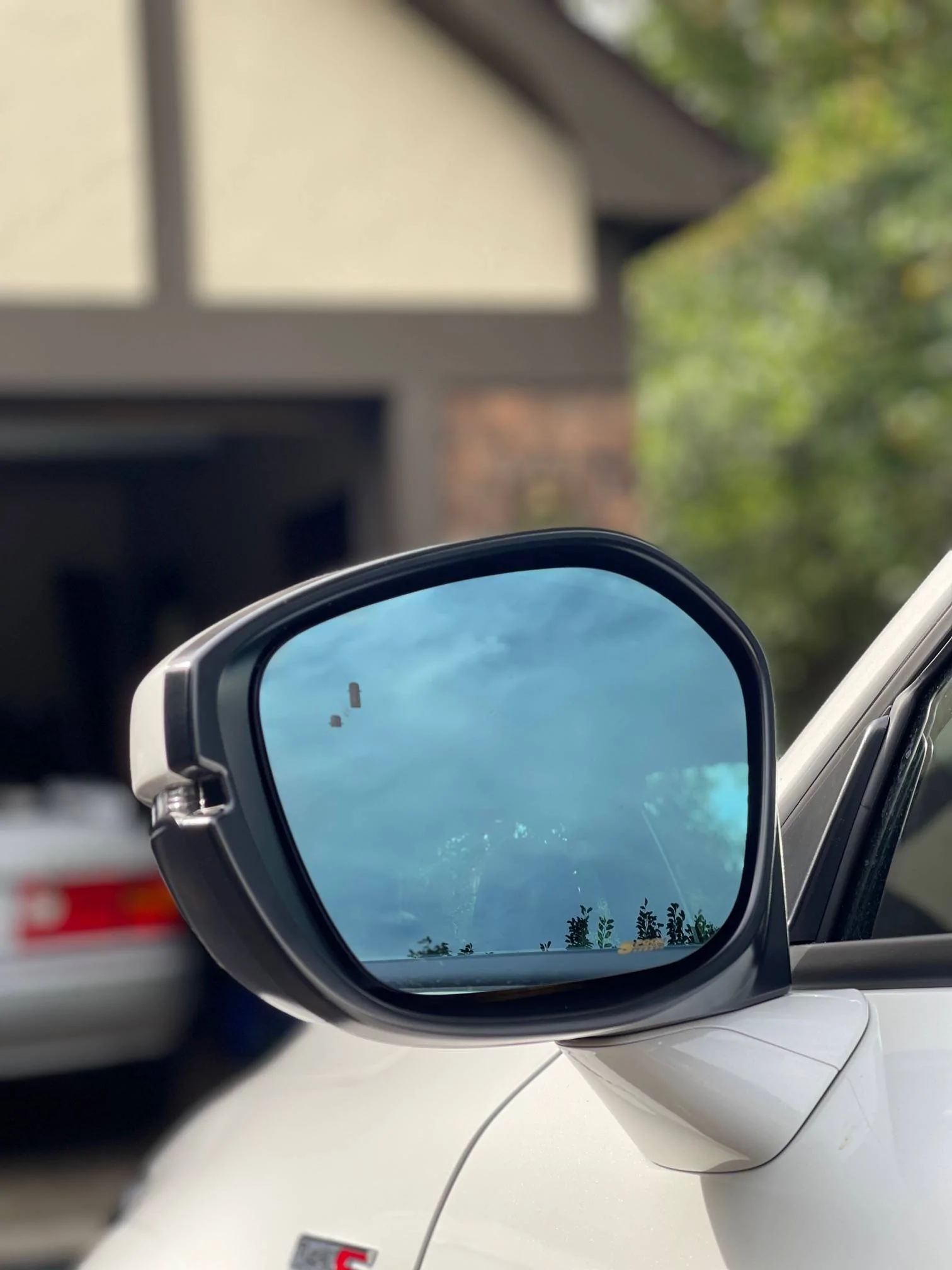 Acura Integra Convex side mirrors ? IMG_8867