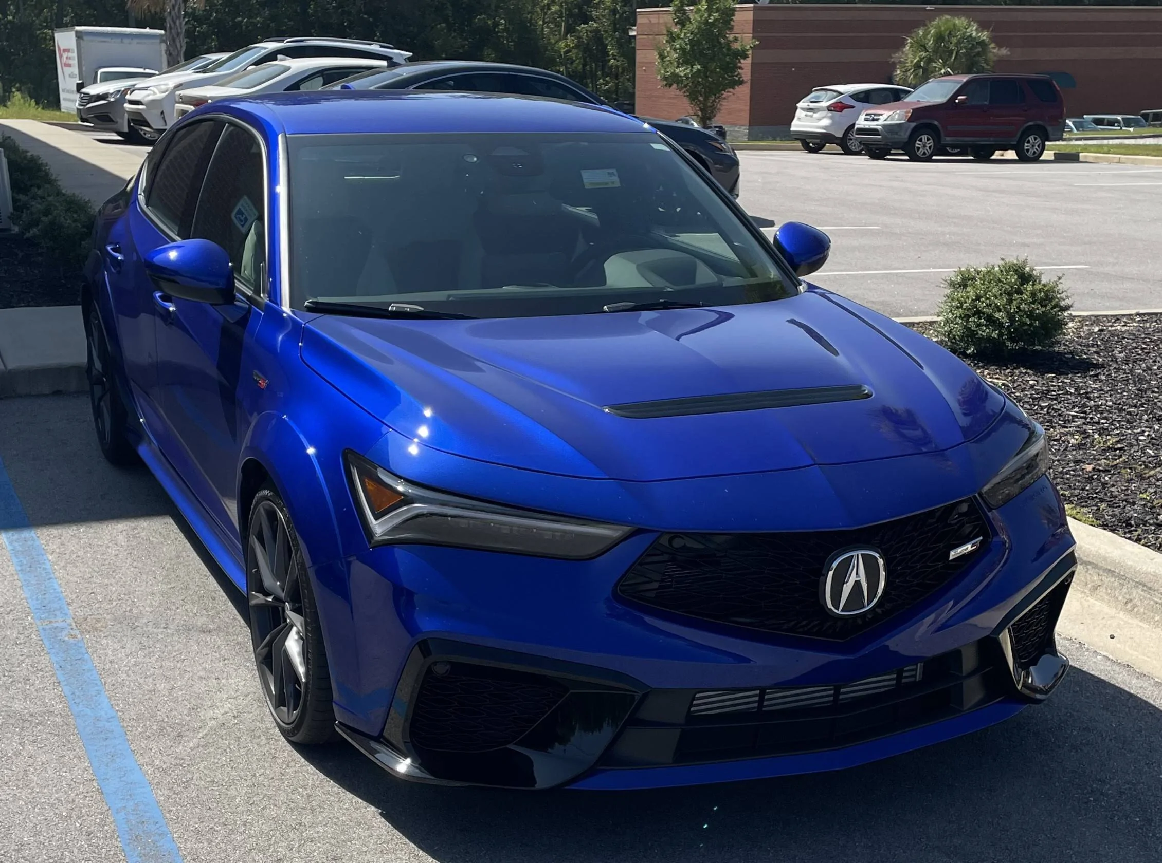 Acura Integra Apex Blue Appreciation Thread IMG_0872-2