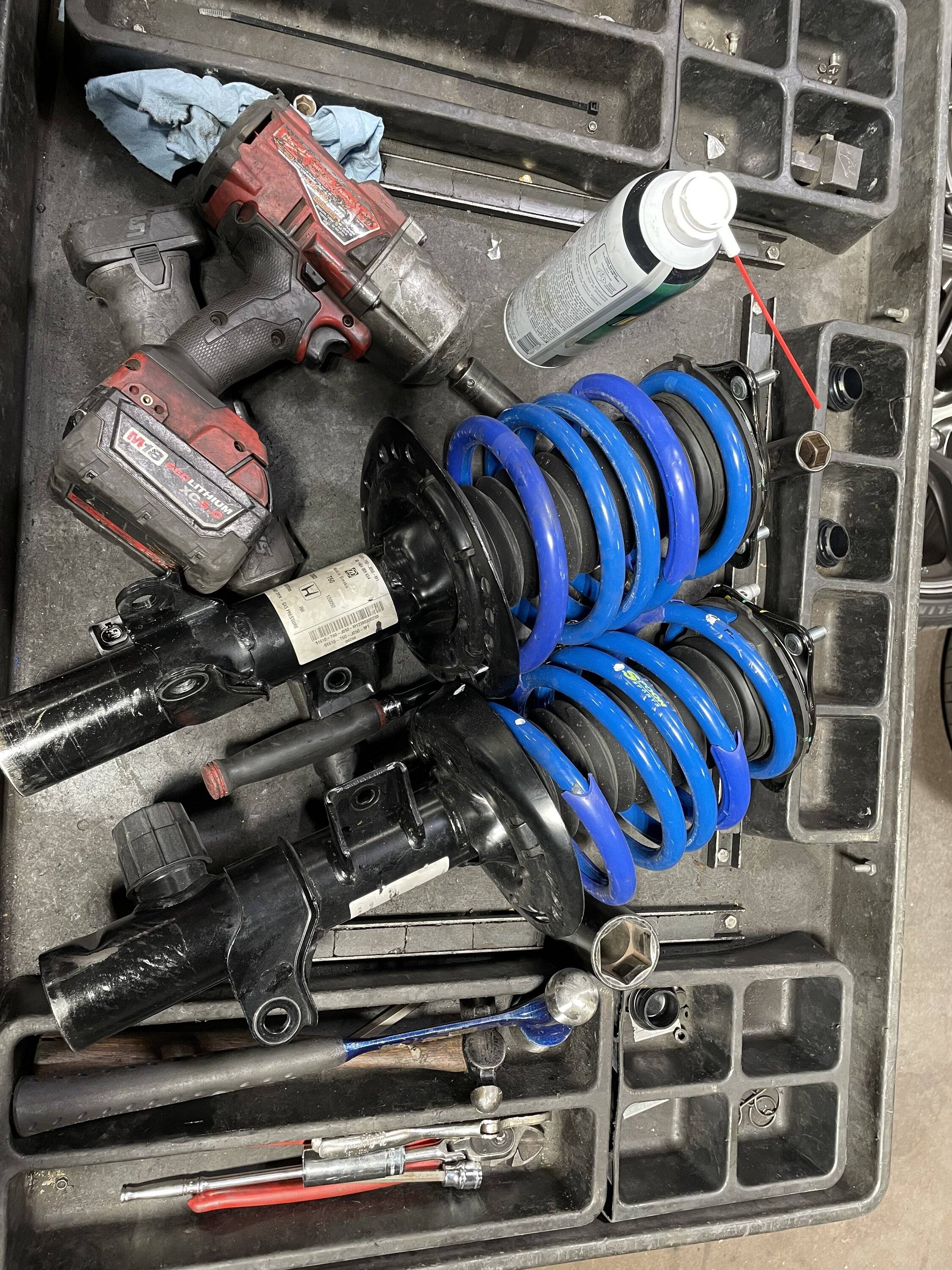 Acura Integra SPOON SPORTS PROGRESSIVE SPRINGS IMG_4320