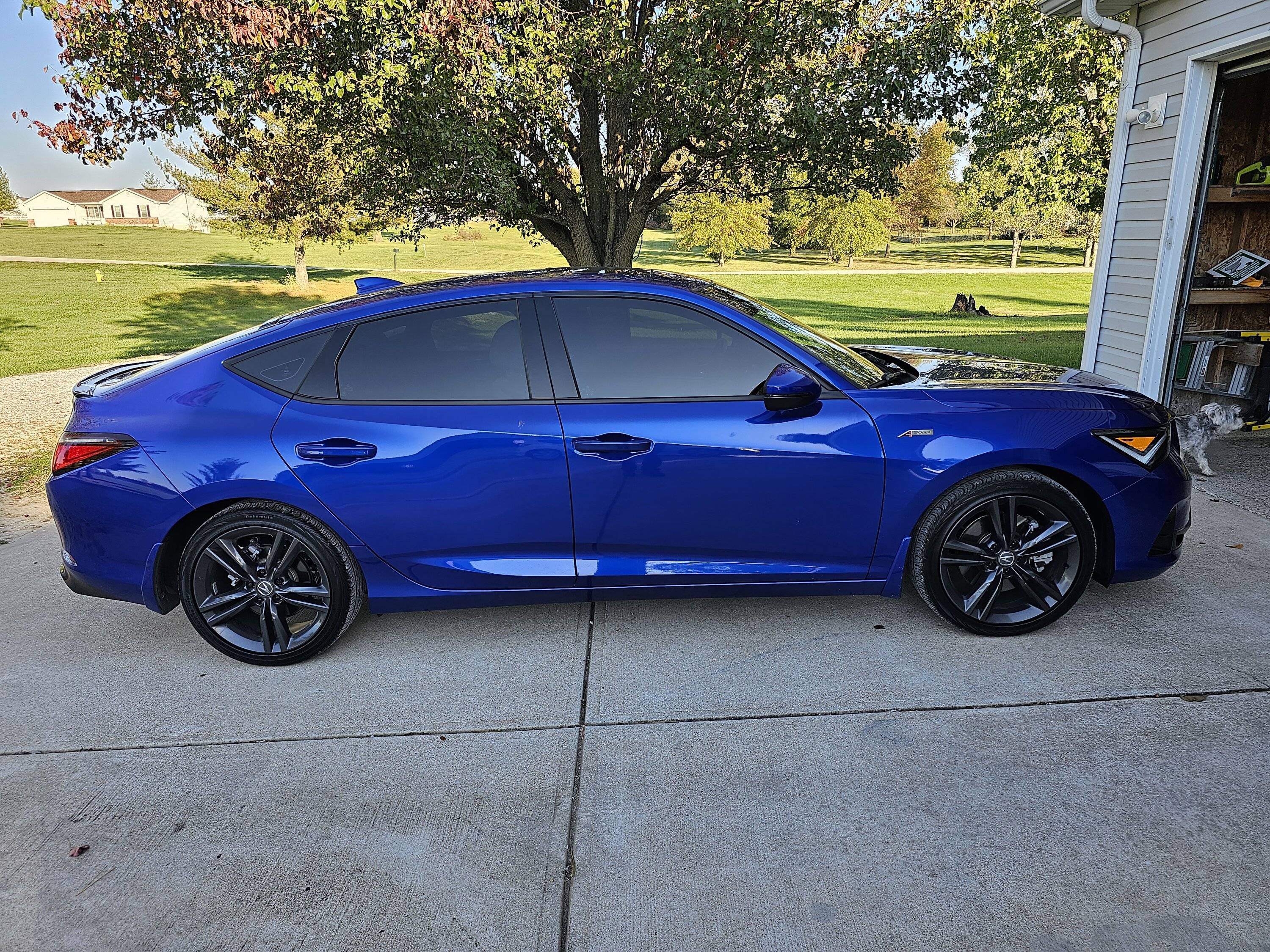 Acura Integra What did you do to your Teggy today? 👨🏻‍🔧🧰🚿🛠 20231023_163723