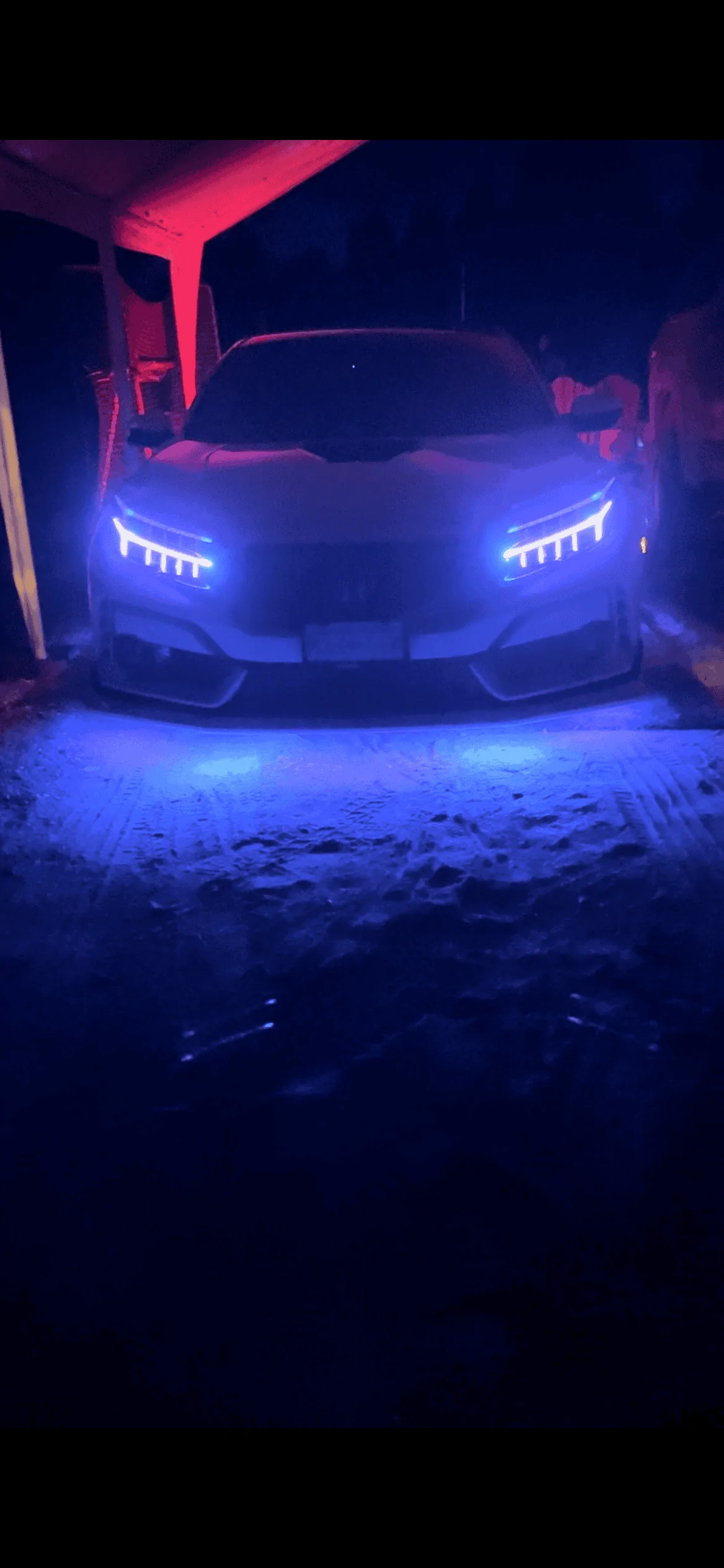 Acura Integra To underglow or not to underglow that is the question IMG_0035