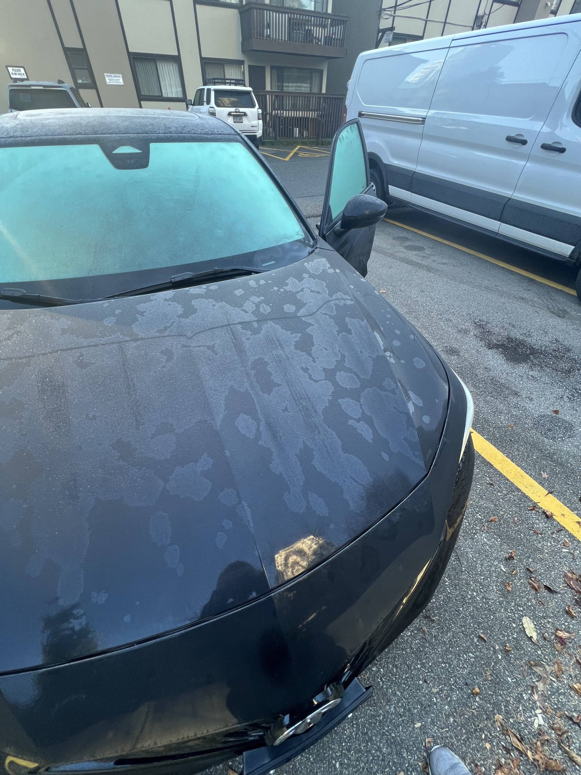 Acura Integra Bad ceramic coating job? Would appreciate your insight! IMG_1064