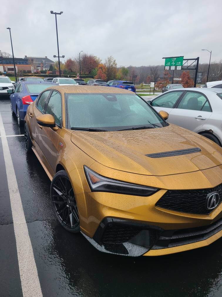 Acura Integra Official TIGER EYE PEARL Integra Club & Photos 49108