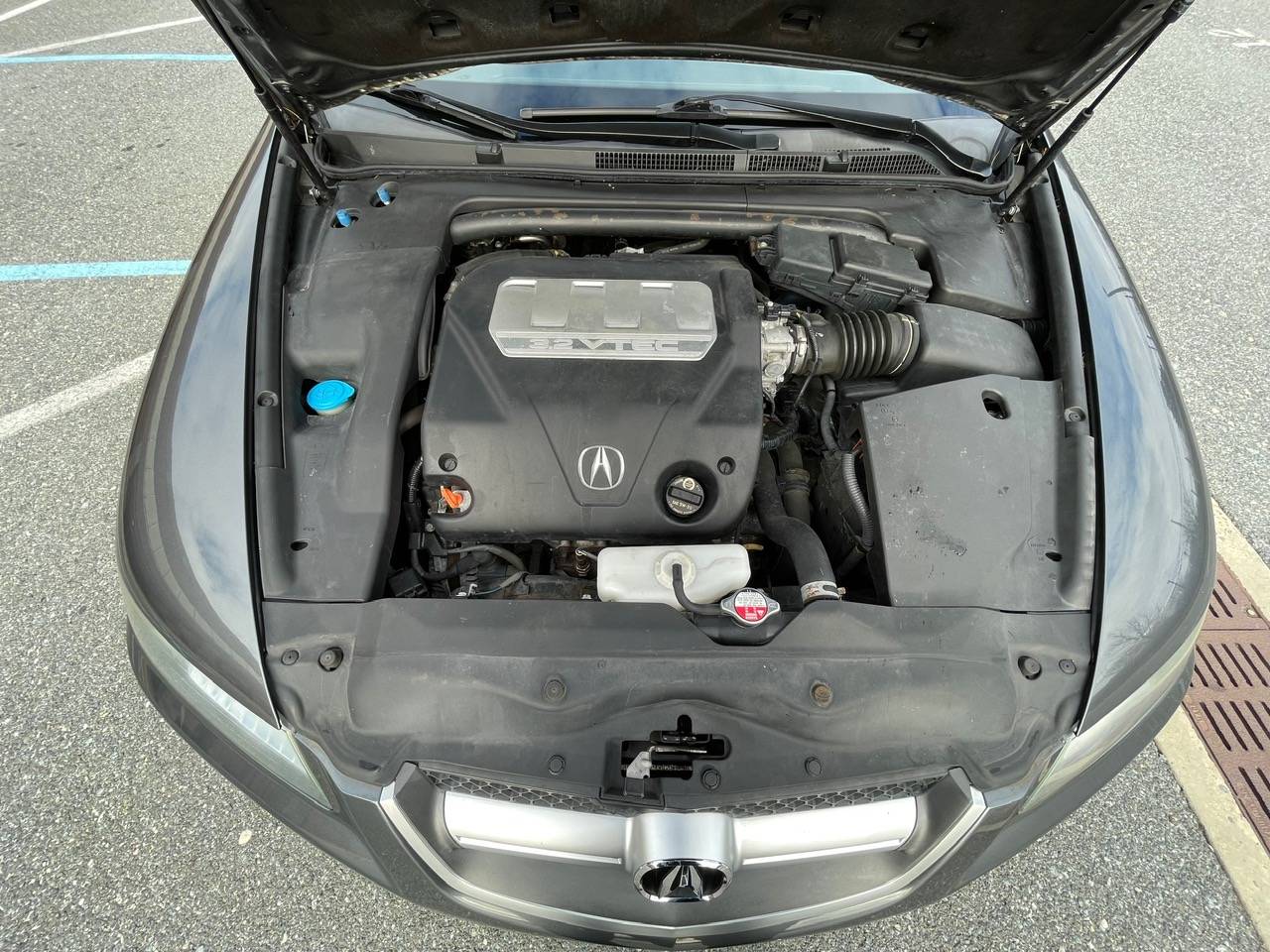 Acura Integra CLEAN DAILY DRIVER // 2008 ACURA TL // LOW MILES IMG_5413