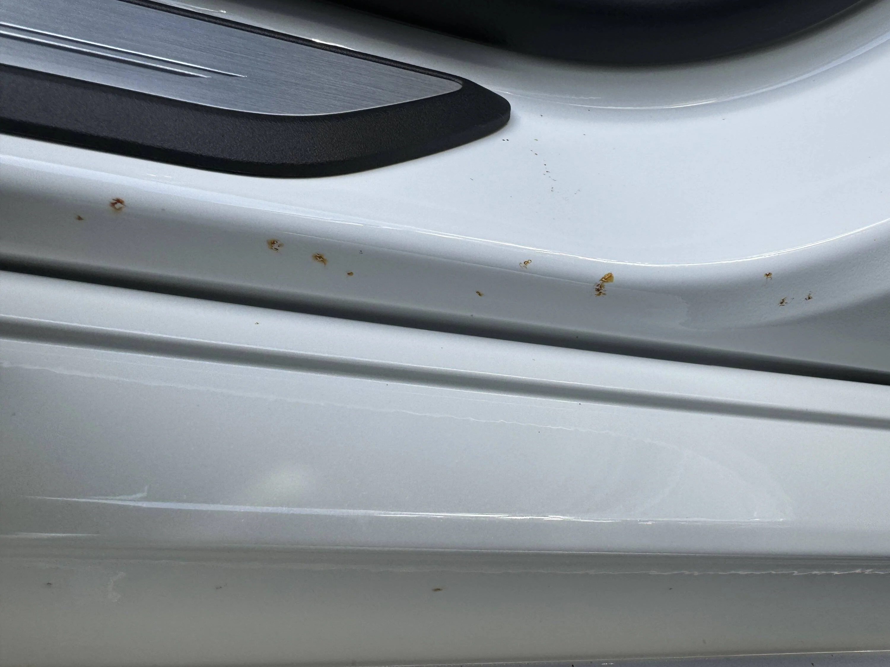 Acura Integra 2024 Aspec Rust on paint? IMG_2976