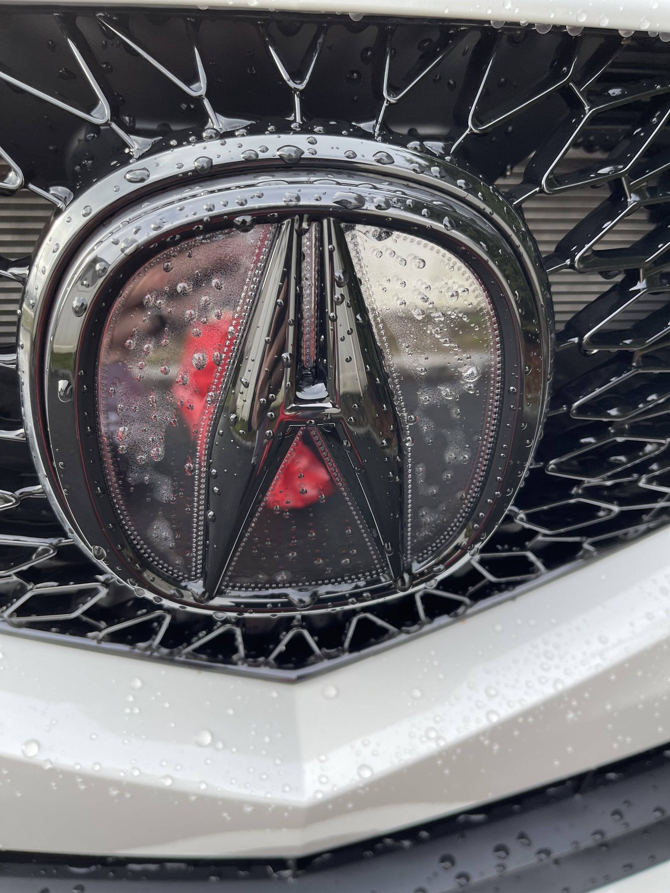 Acura Integra Front light up emblem fogged up IMG_1861