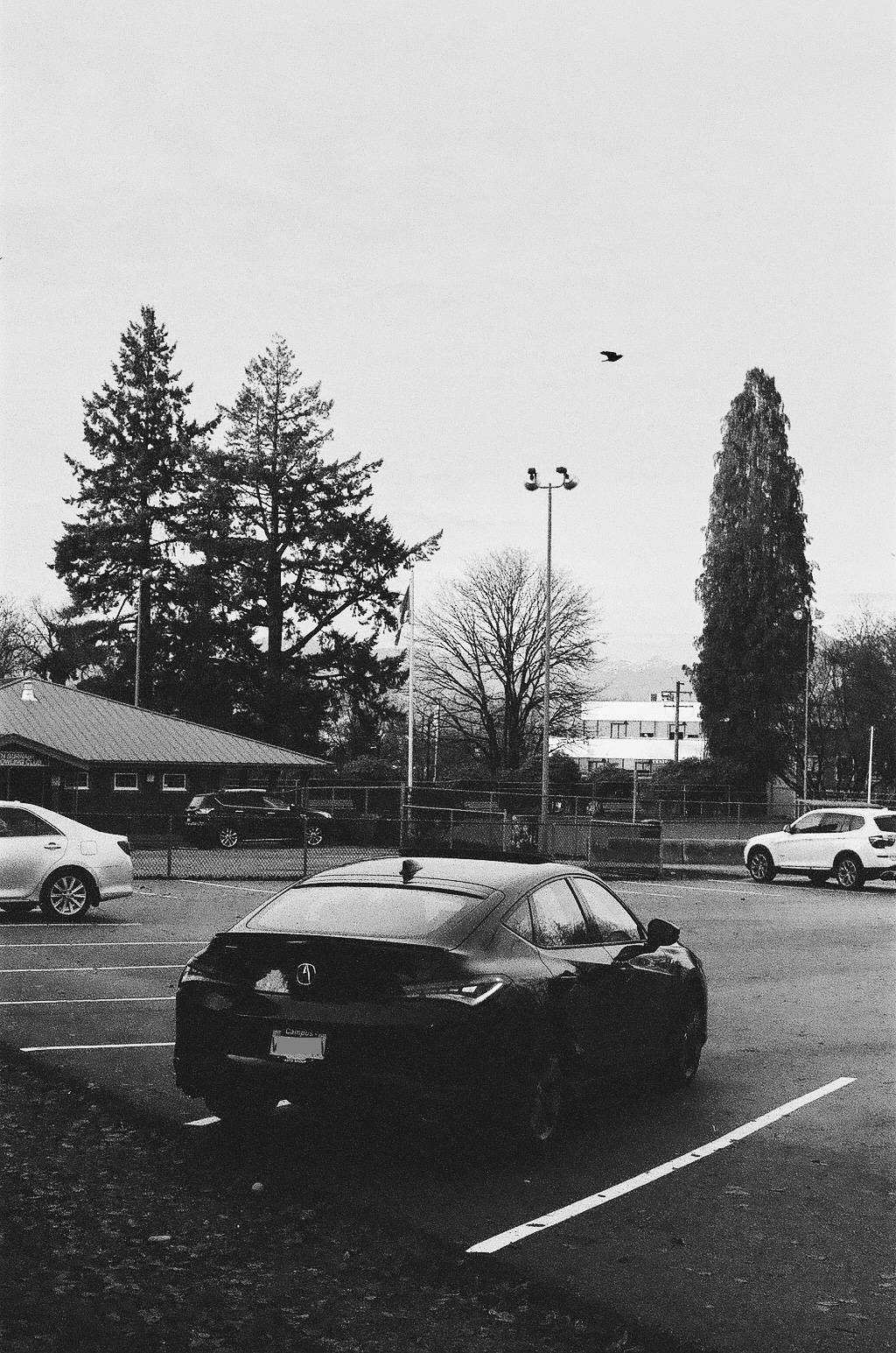 Acura Integra Integra on Film back