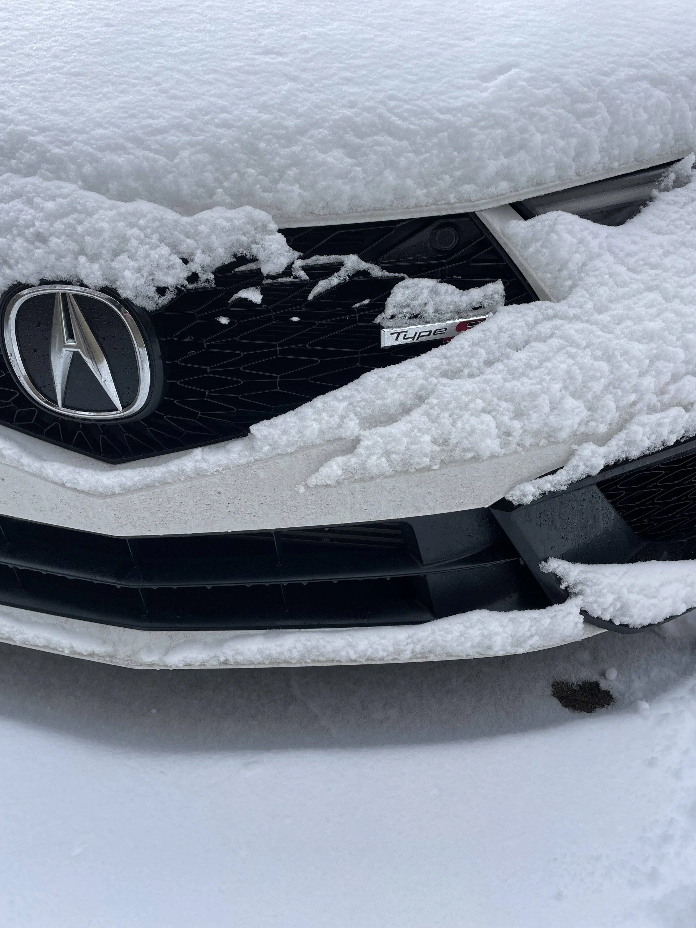 Acura Integra Winter photos IMG_6591