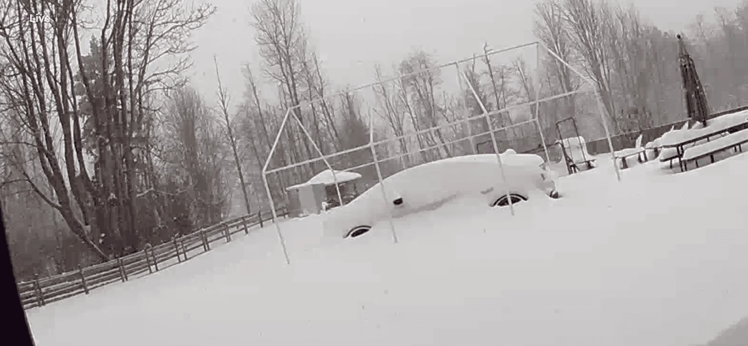 Acura Integra Winter photos IMG_0831