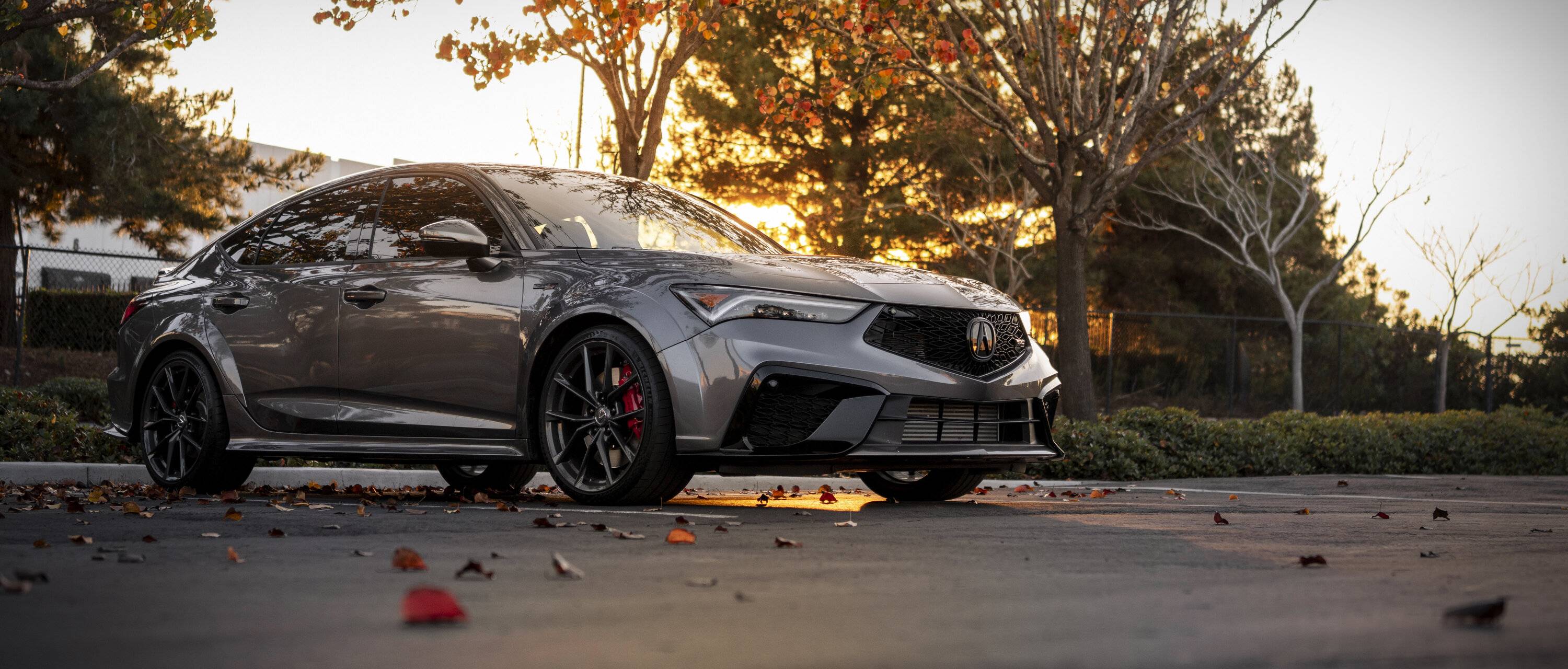 Acura Integra LCM Photos Appreciation Thread DSC02058.JPG