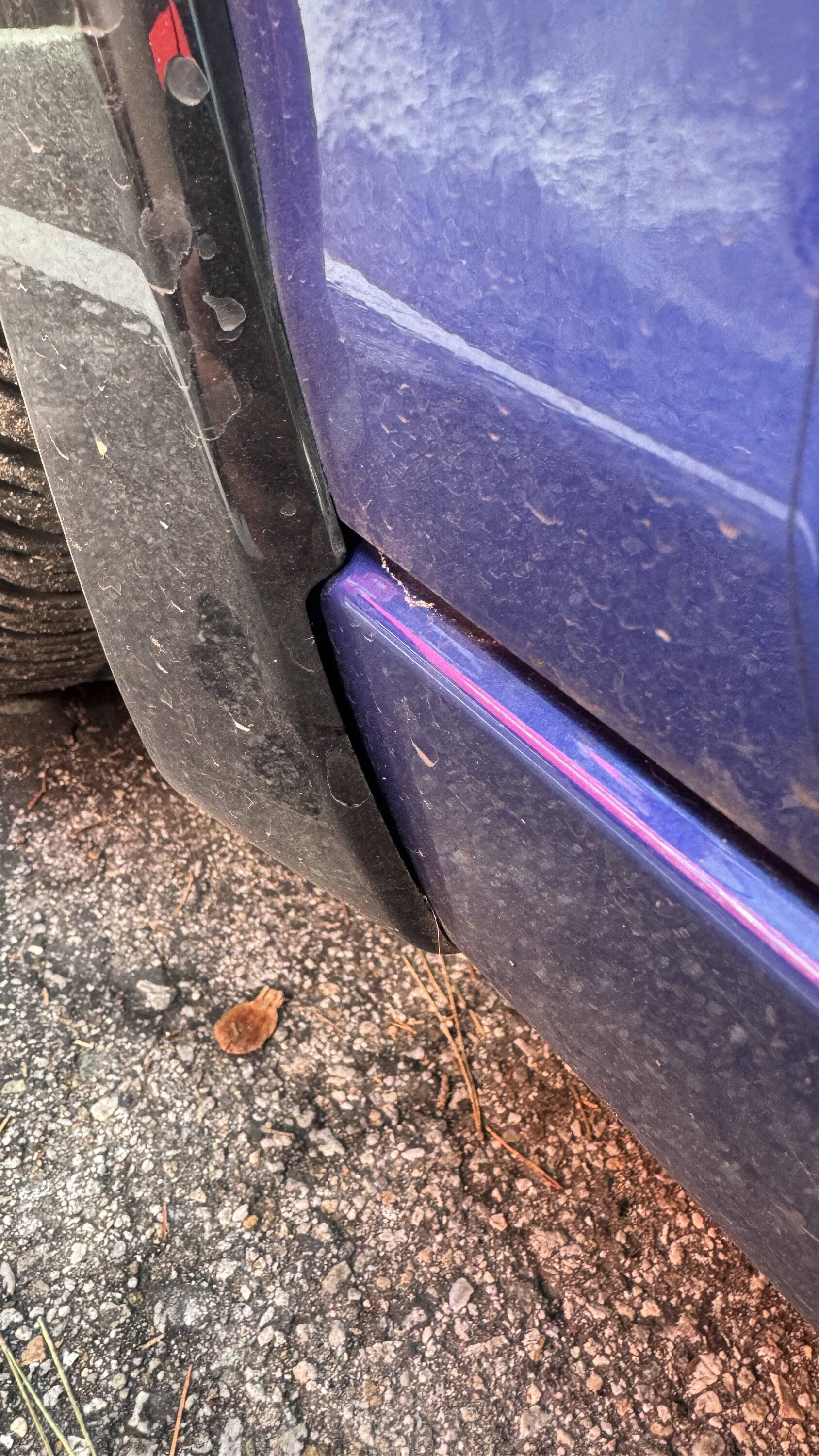 Acura Integra Color matched mud guards IMG_4819