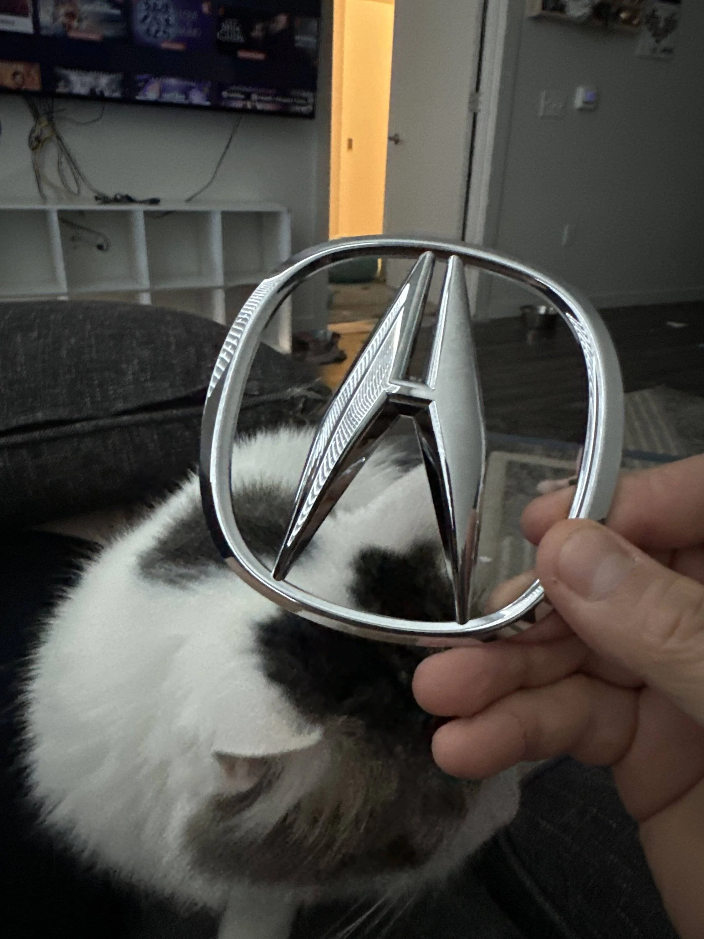 Acura Integra Custom Emblem imag