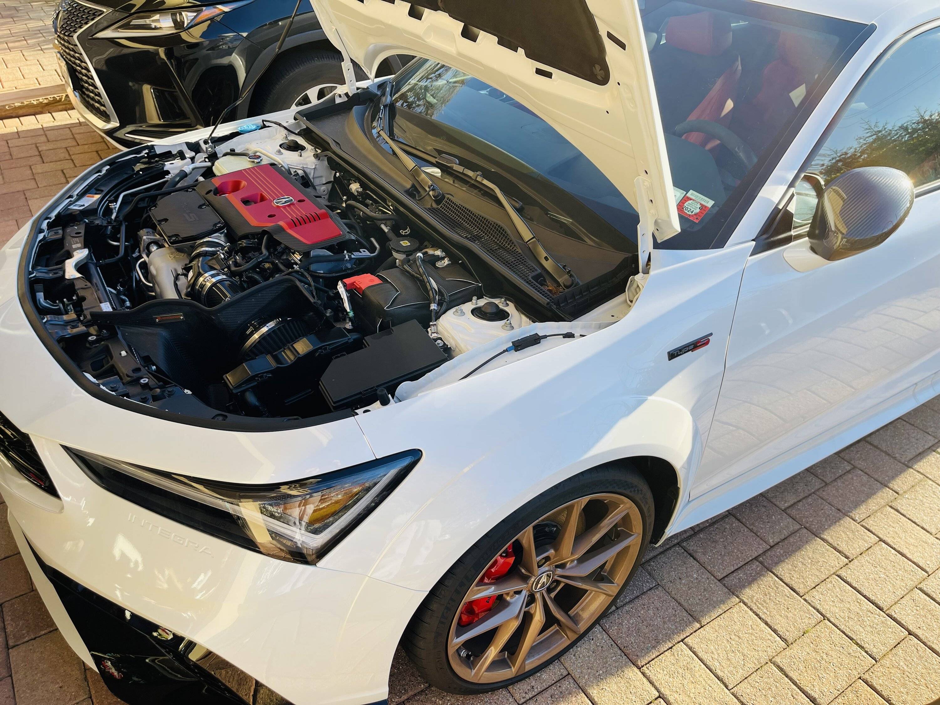 Acura Integra ArmaSpeed Carbon Intake IMG_2099