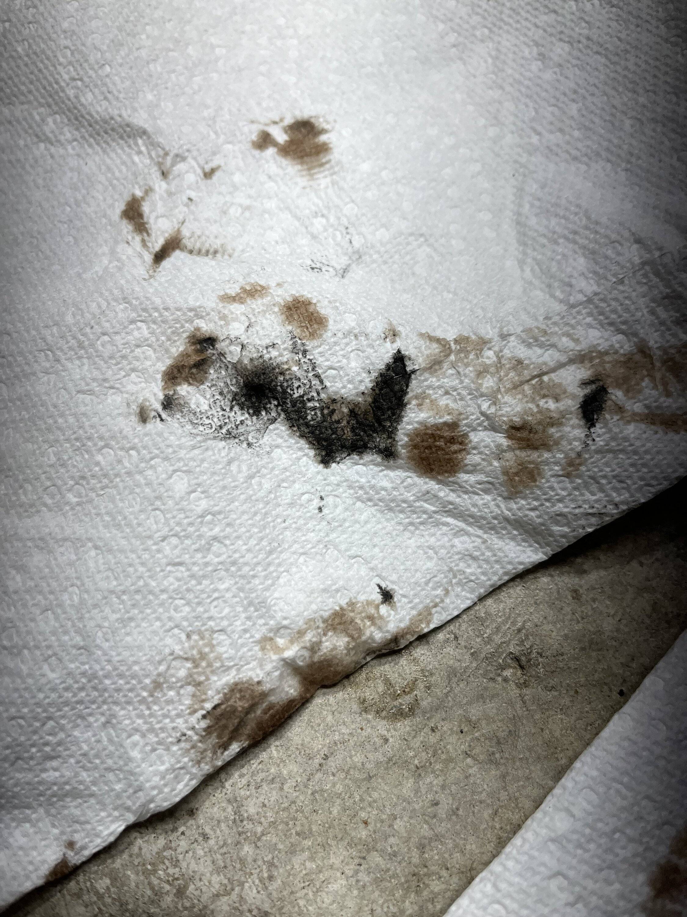 Acura Integra Oil Analysis at 5k (Blackstone Labs Report) IMG_2691